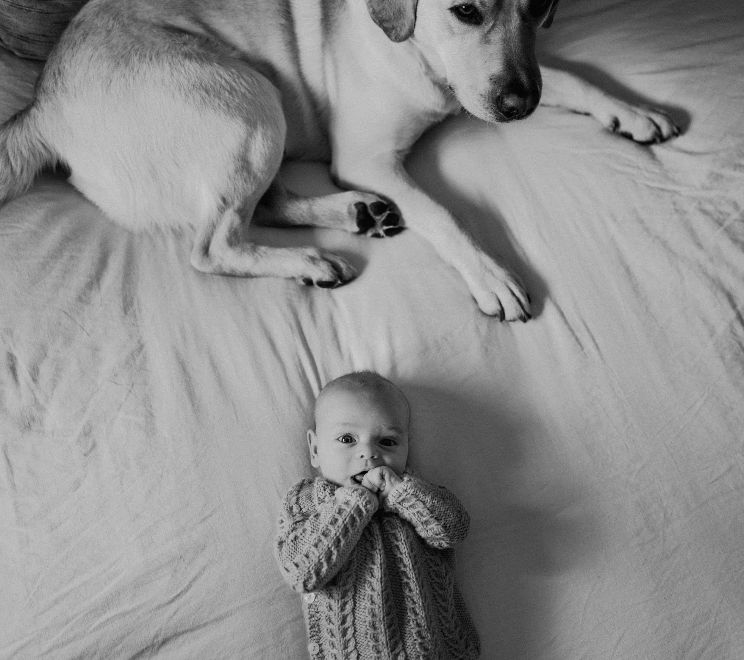 chicago-family-photos-emily-williams-photography-66.JPG