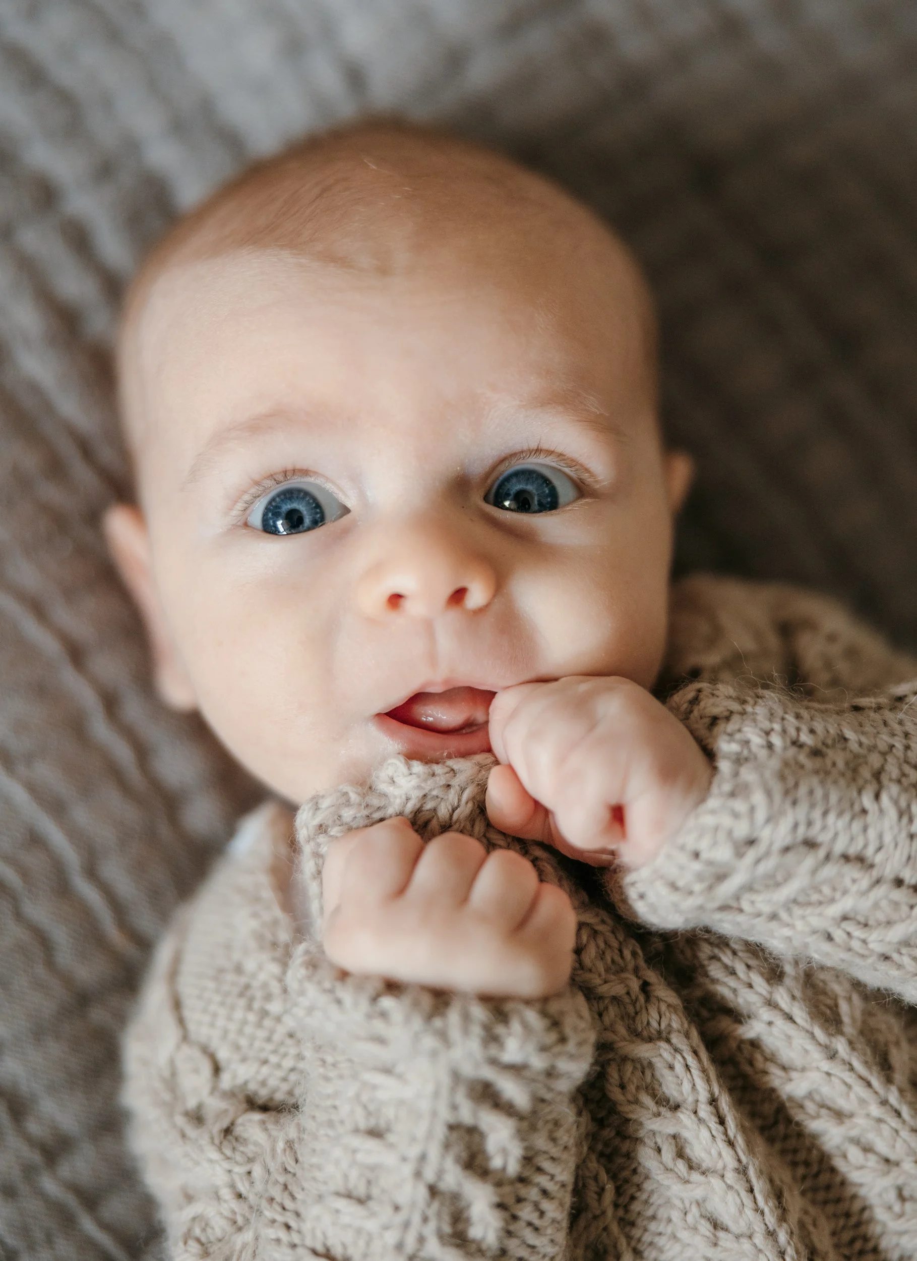chicago-family-photos-emily-williams-photography-53.JPG