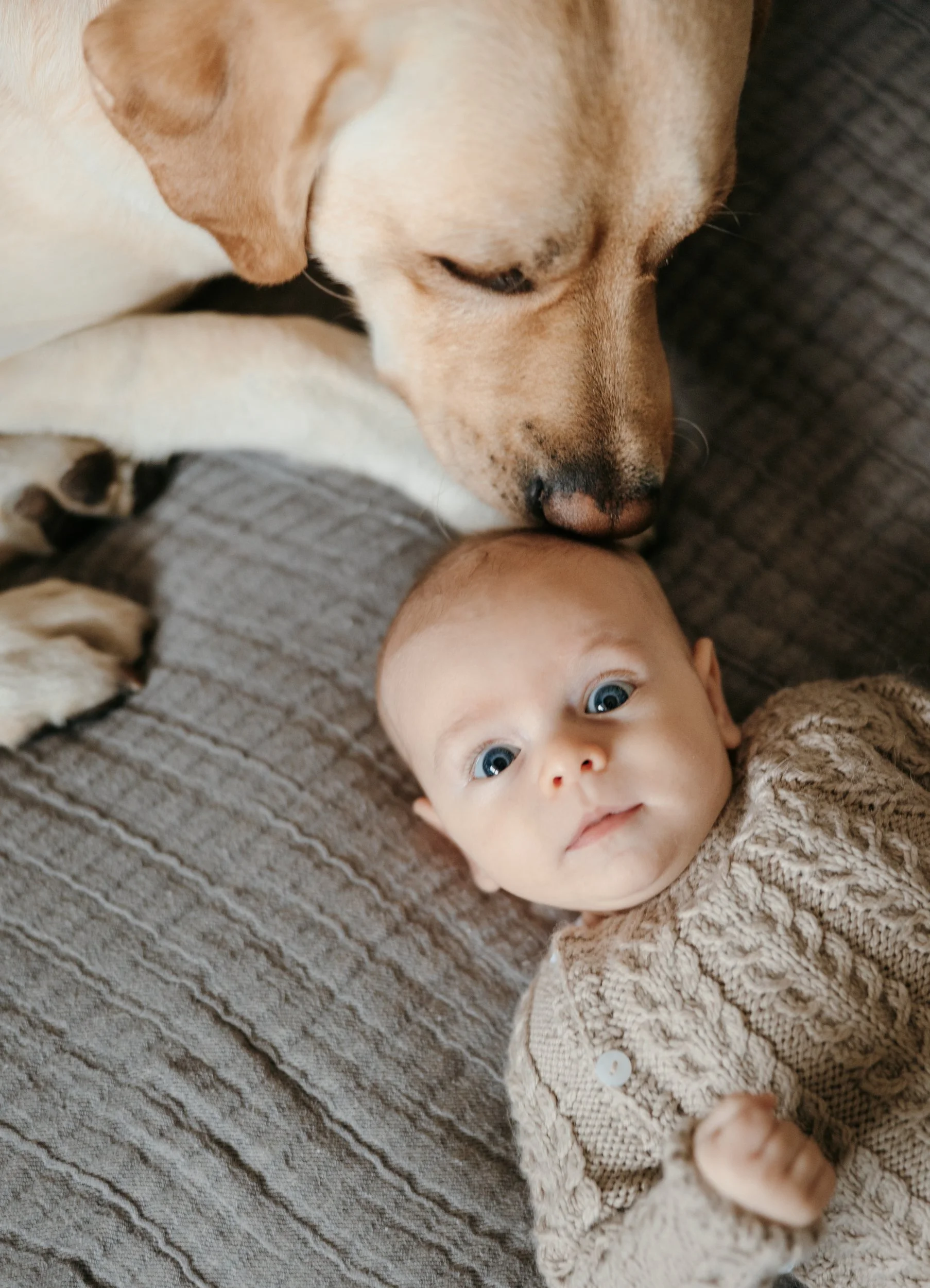 chicago-family-photos-emily-williams-photography-60.JPG