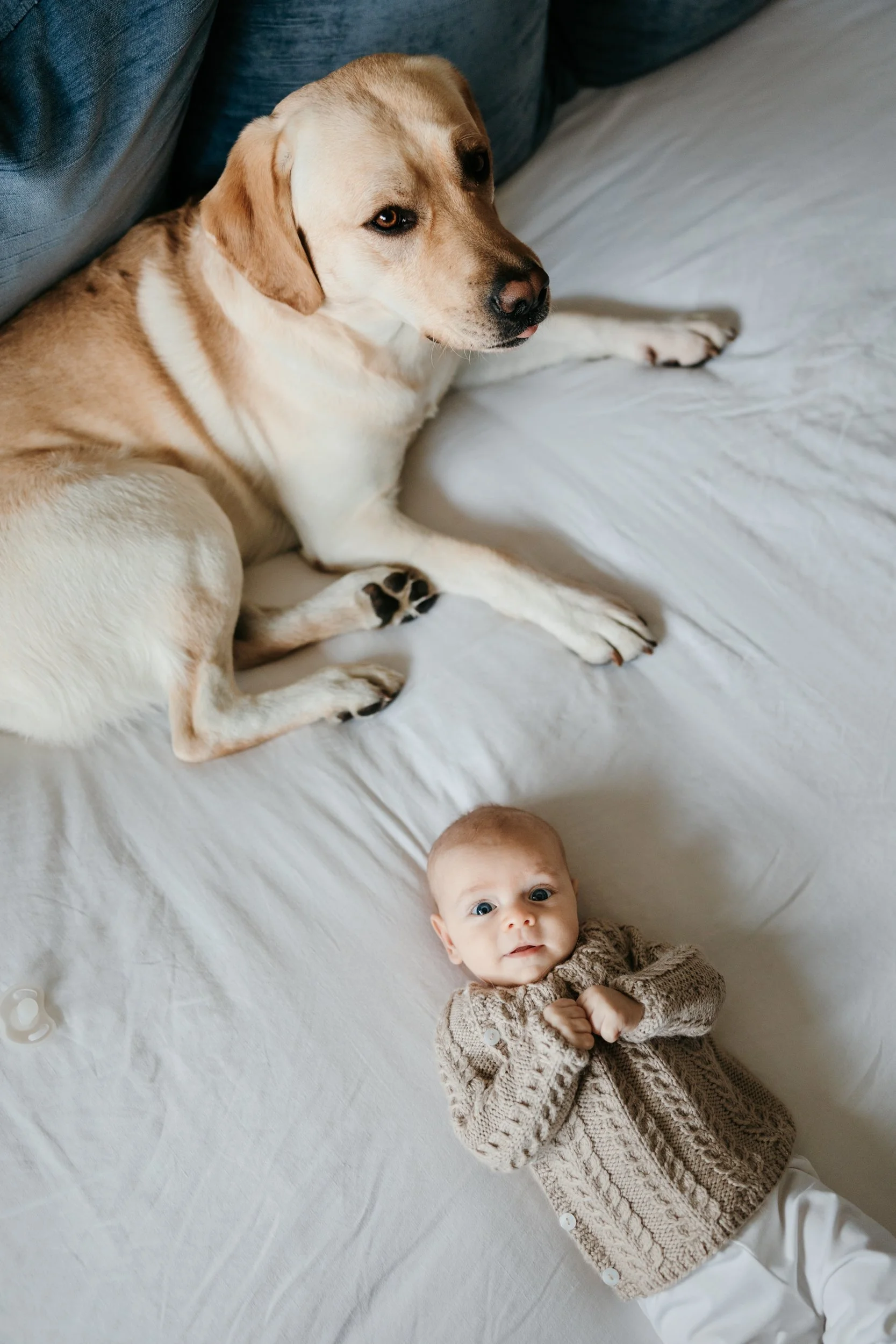 chicago-family-photos-emily-williams-photography-61.JPG