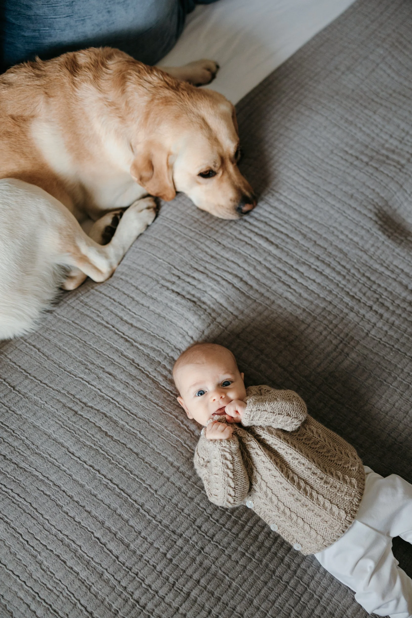 chicago-family-photos-emily-williams-photography-54.JPG