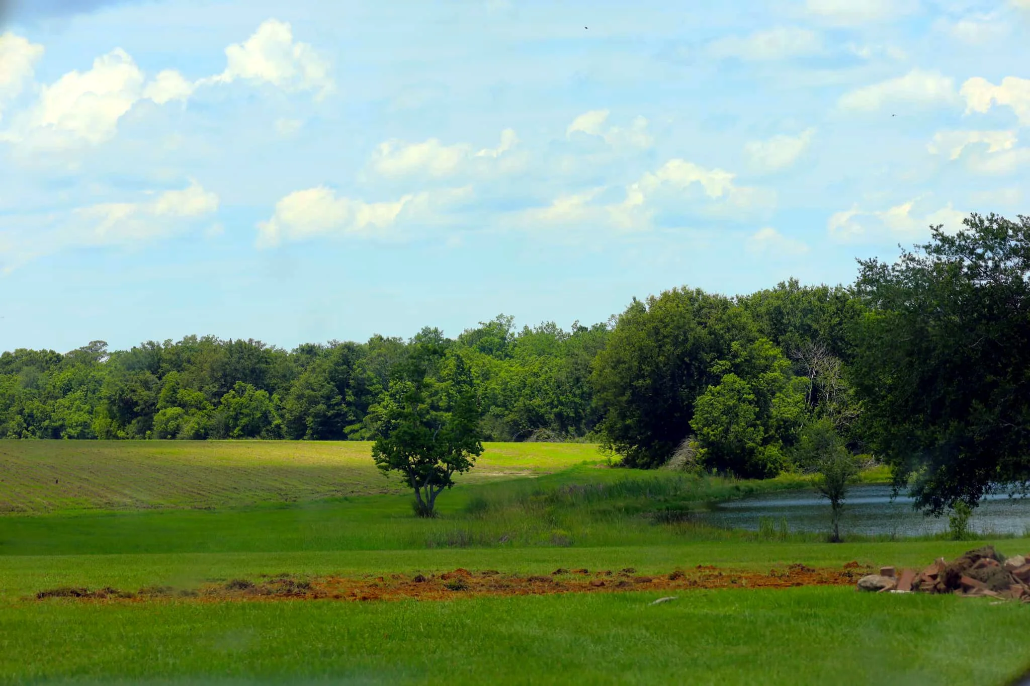 A scenic landscape of a lush green field with small trees, a pond, and a dense tree line under a blue sky with some clouds.