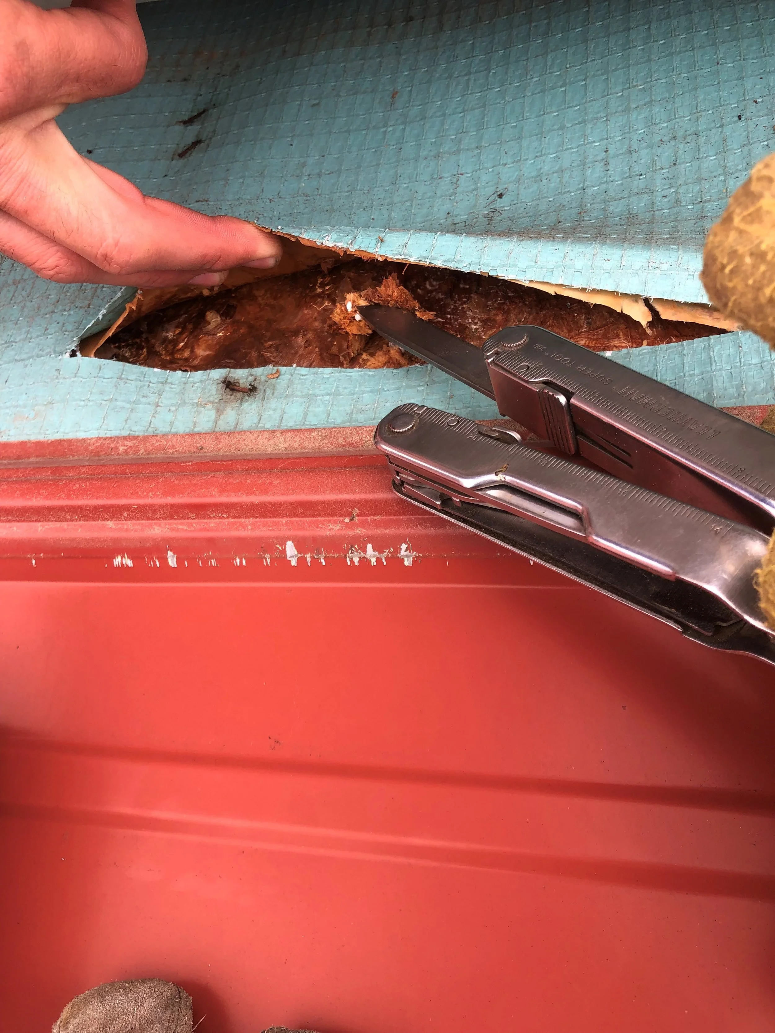 OSB issues at eave fascia