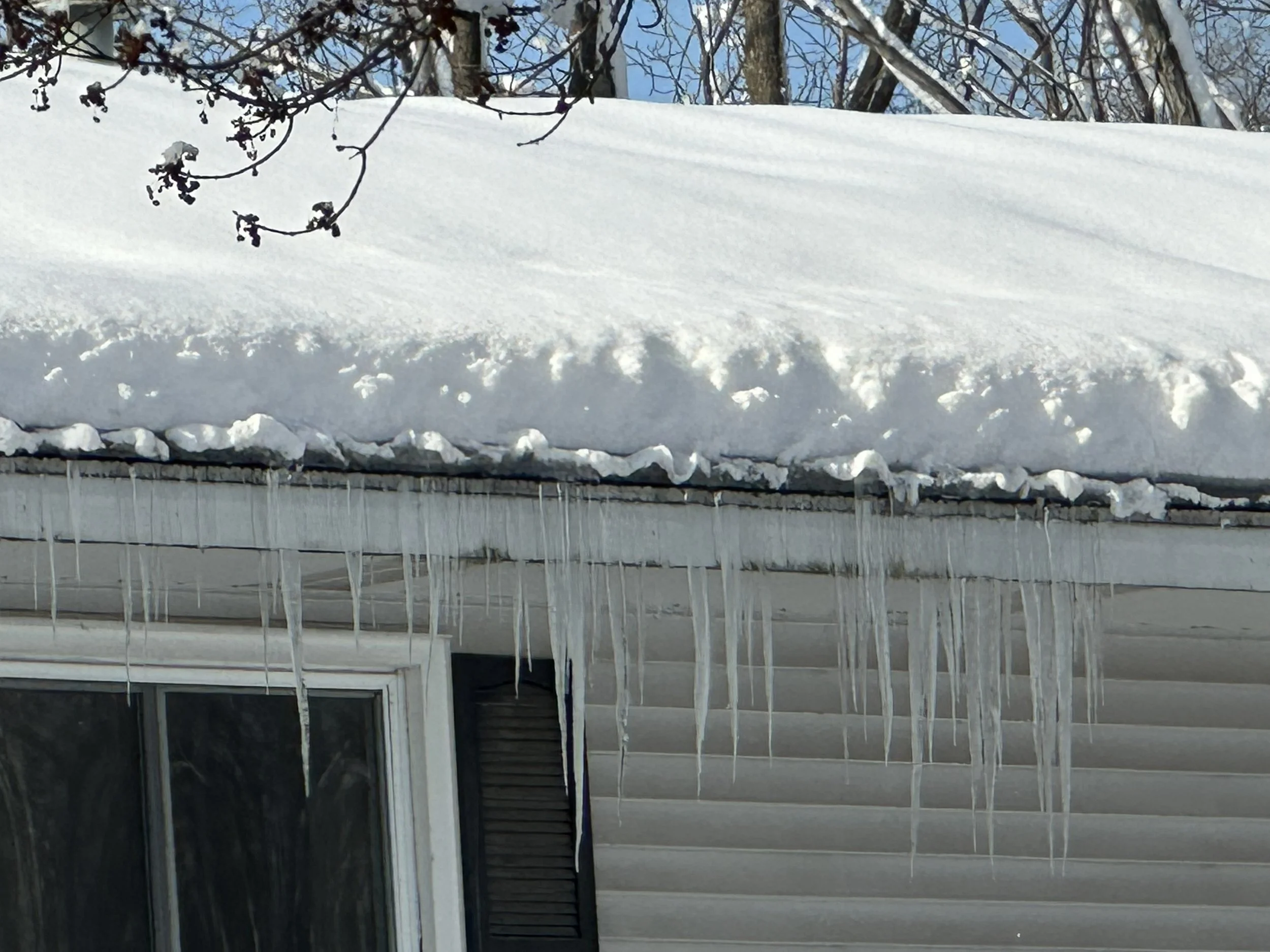 Stick Framed Roof - Heated