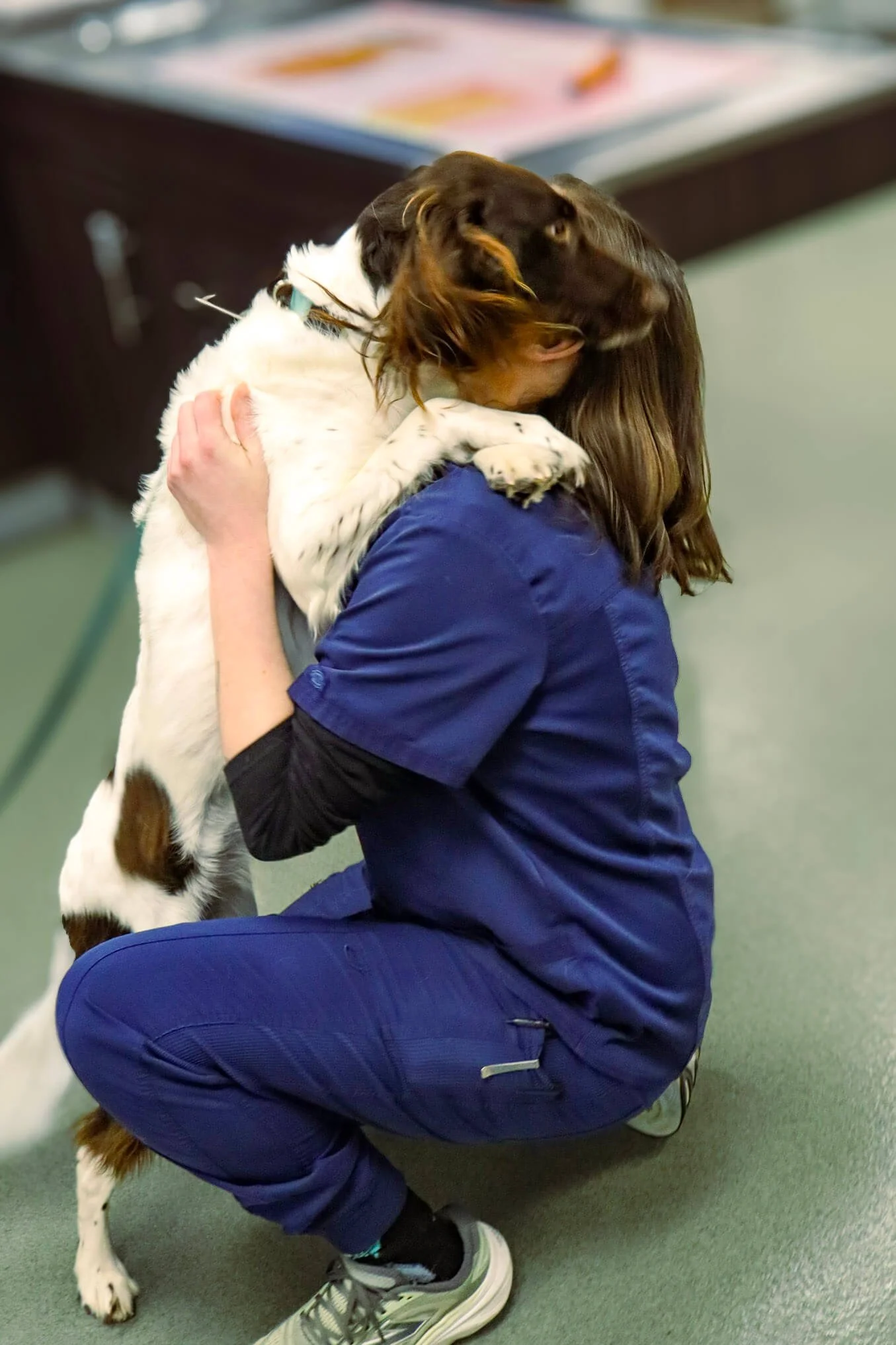 A person in blue scrubs kneeling and hugging a large dog.