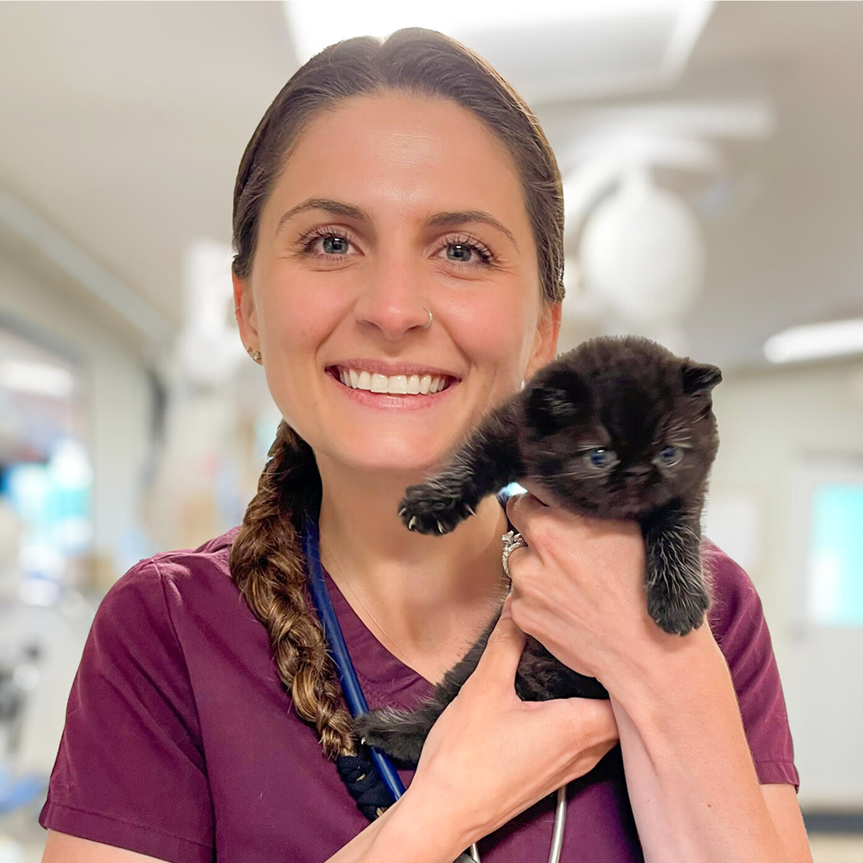 A smiling female veterinarian in purple scrubs holding a tiny black kitten in a veterinary clinic.
