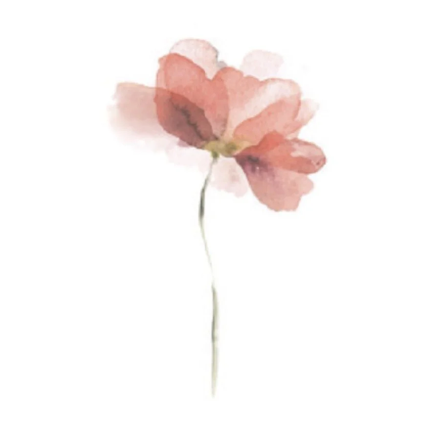 Rouwkaart met een zachte, waterverf getekende bloem met roze en rood tinten op een witte achtergrond.