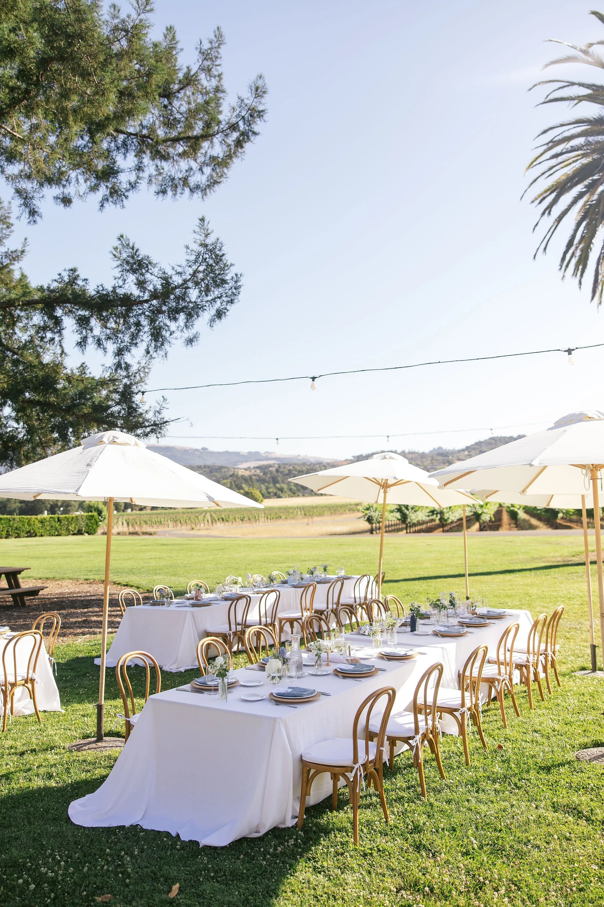 NicodemCreative-SonomaValleyWedding-036.JPG