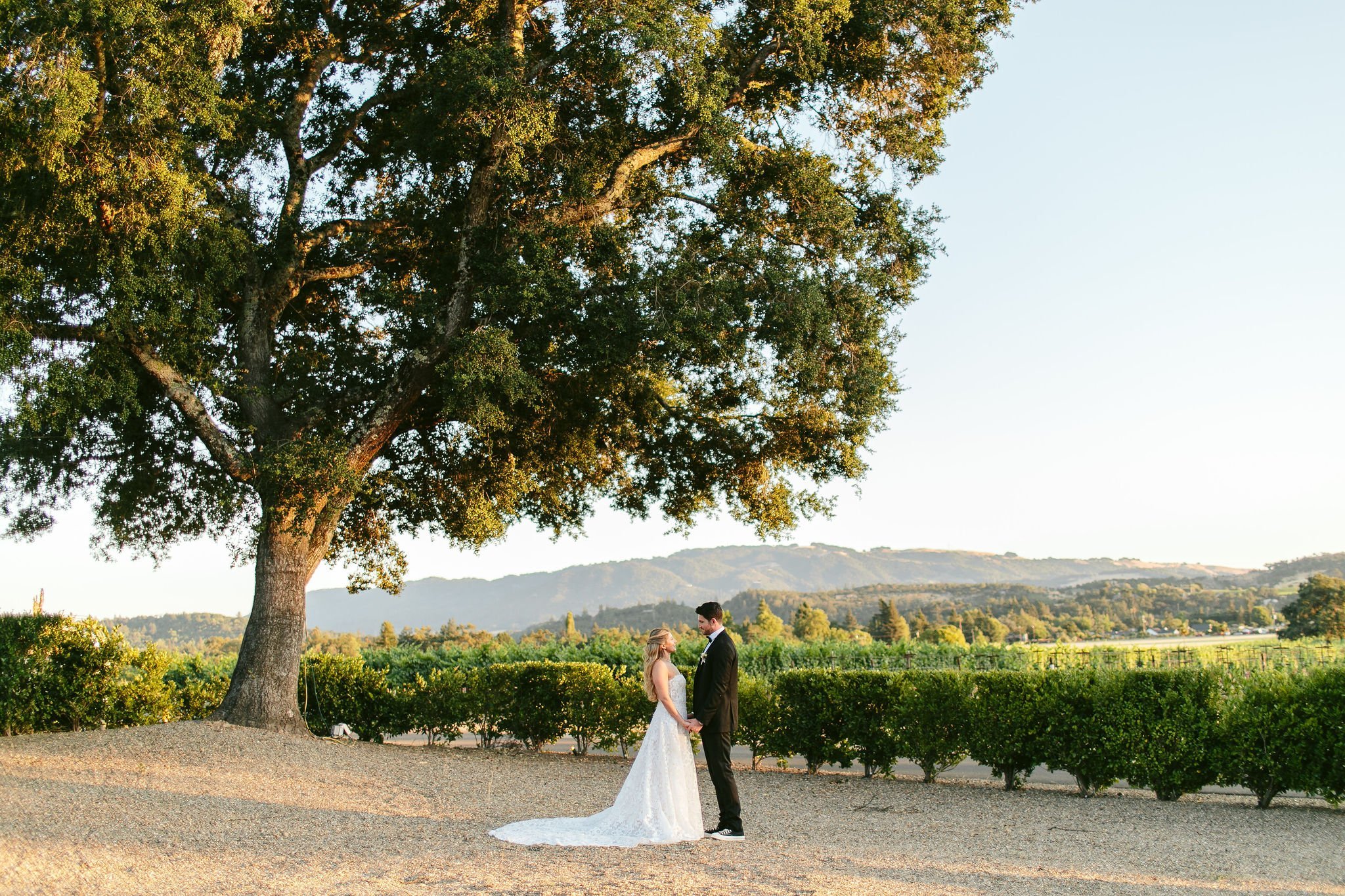NicodemCreative-SonomaValleyWedding-054.JPG