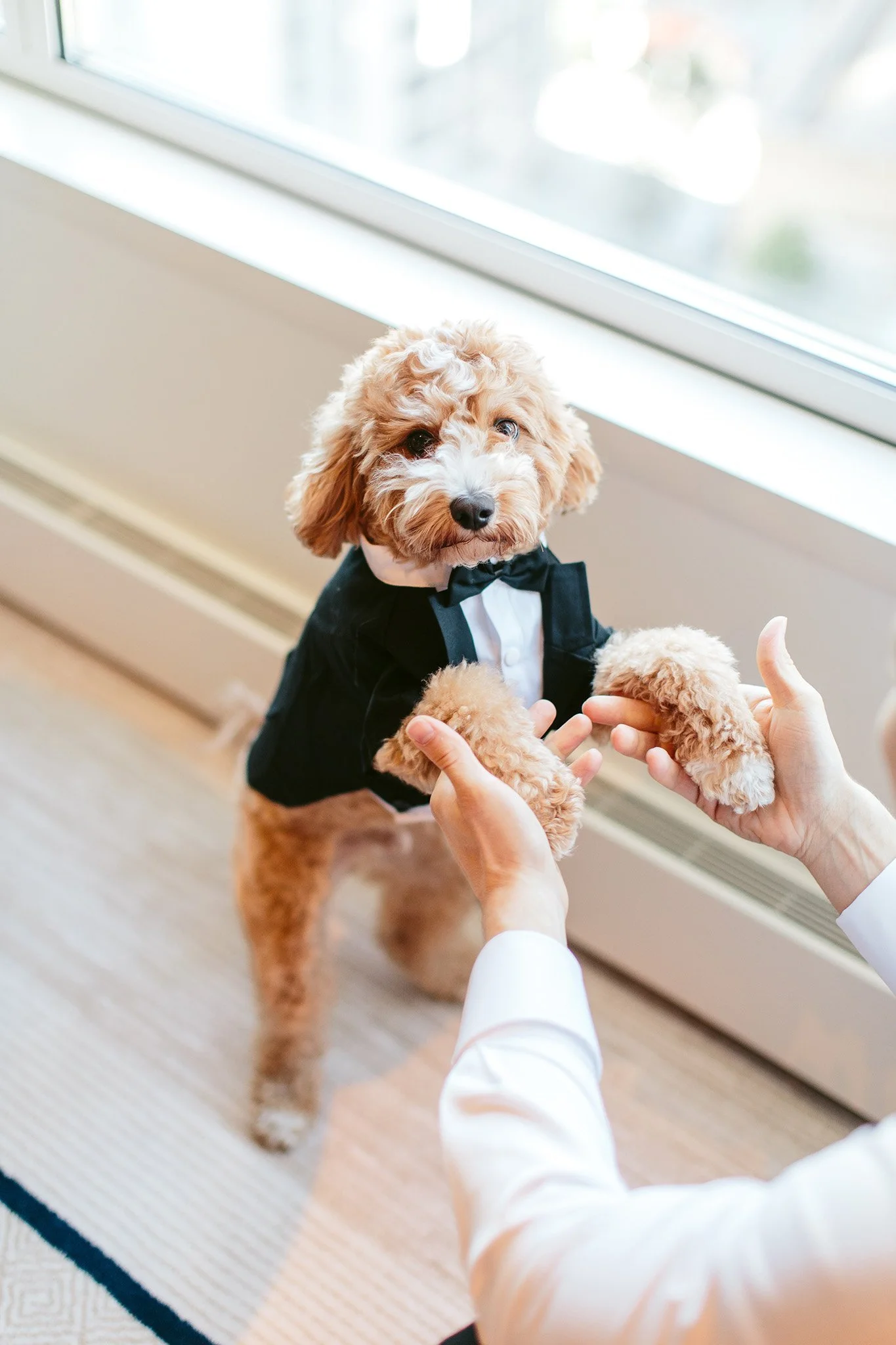 NicodemCreative-CityHallChicagoWedding-004.jpg