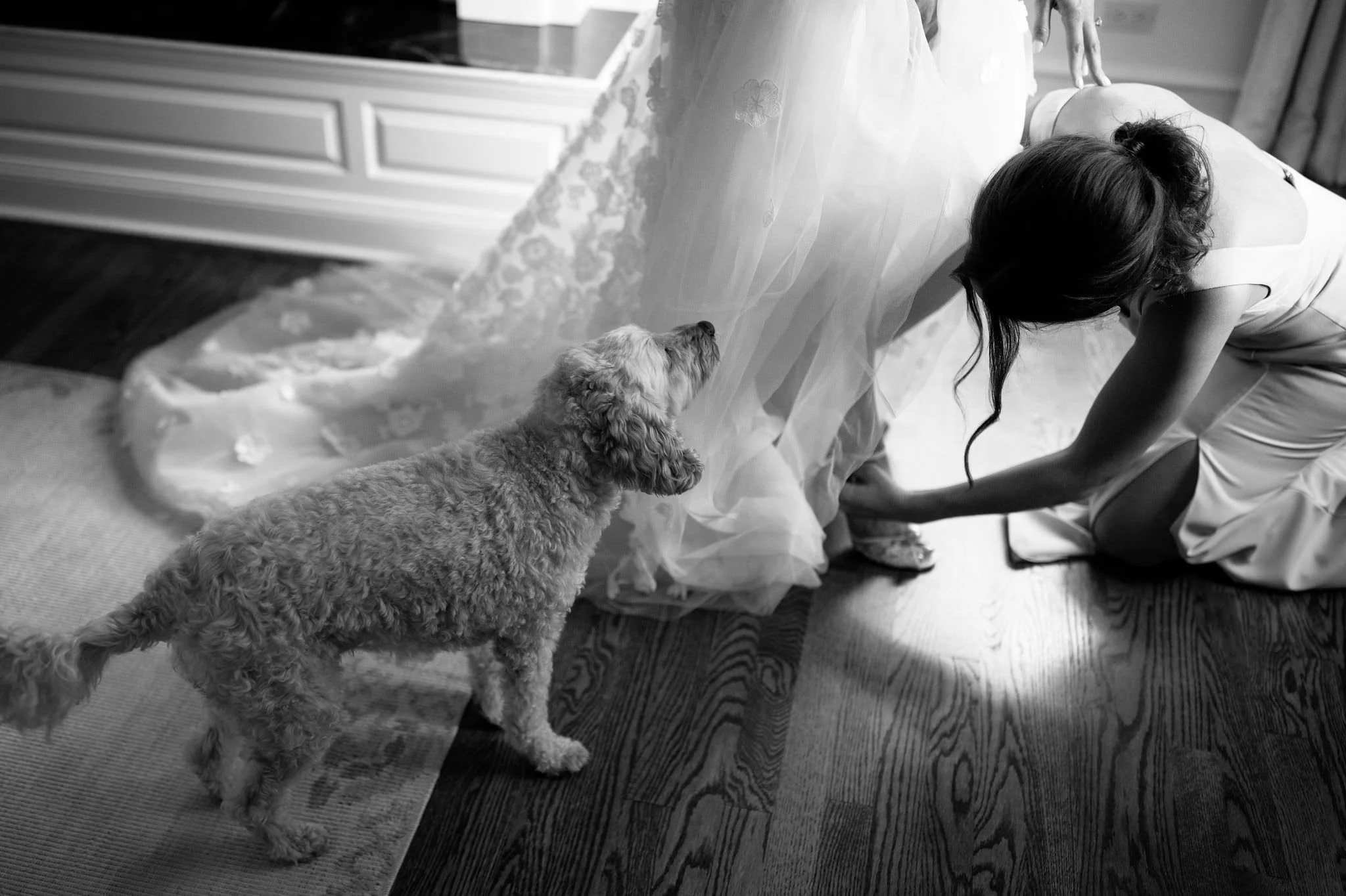 dog on wedding day chicago wedding