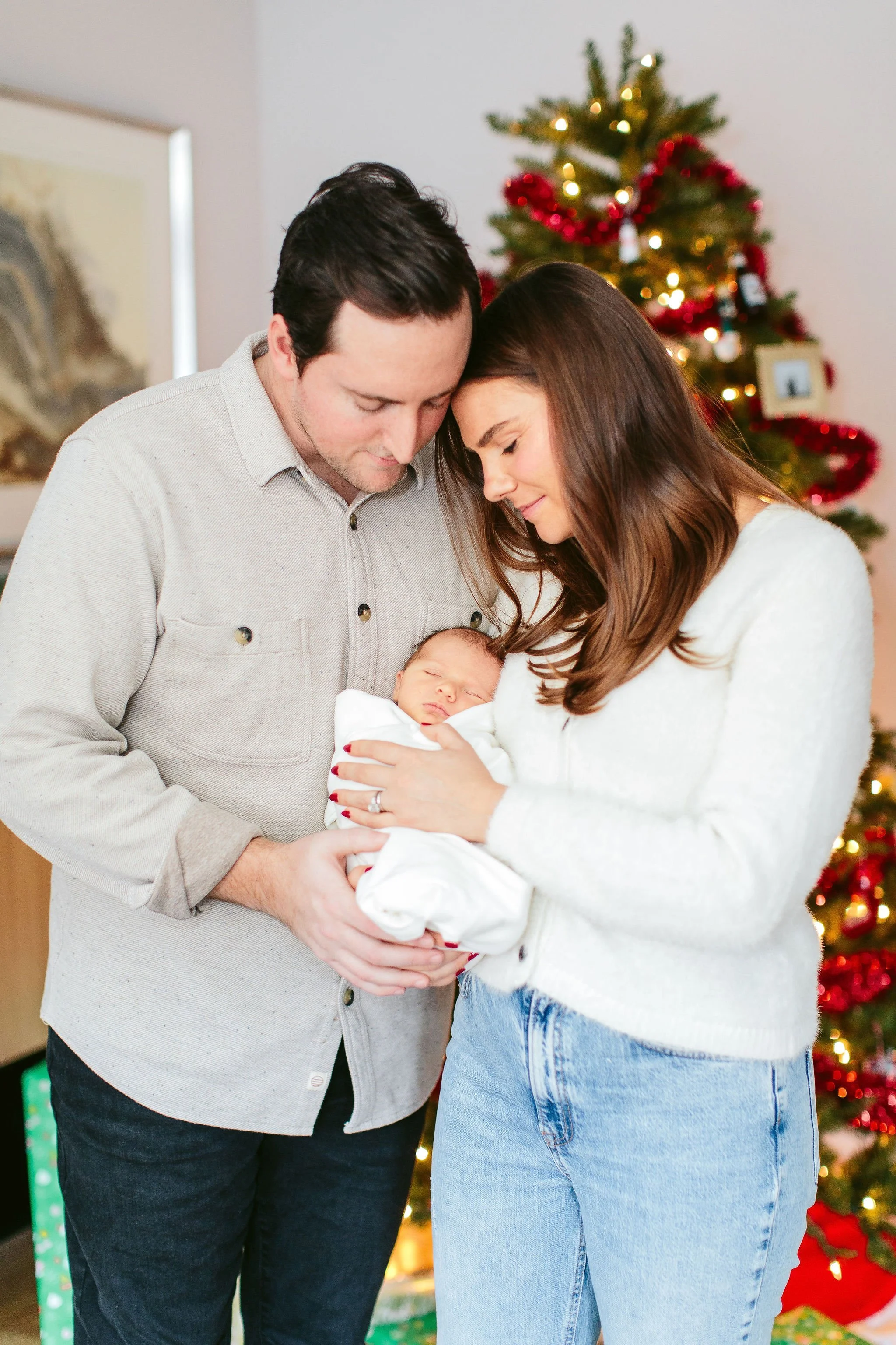 newborn photos at christmas