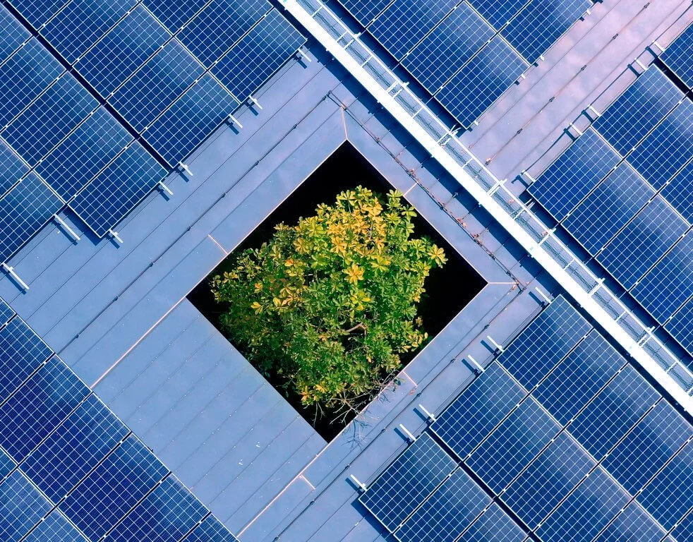 solar panels structure on the factory metal roof structure and the tree in the middle