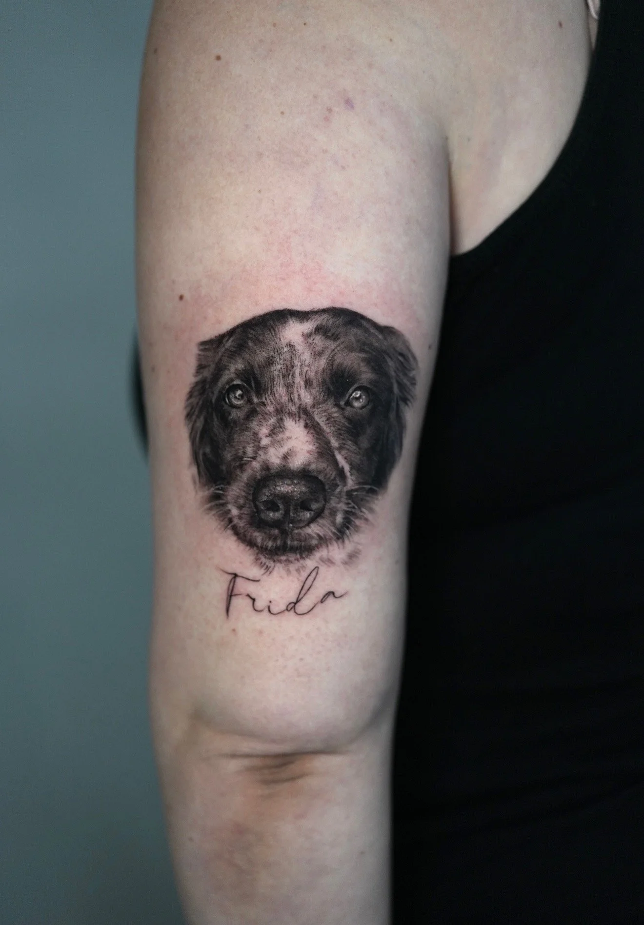 Natalie Dog Portrait.JPEG