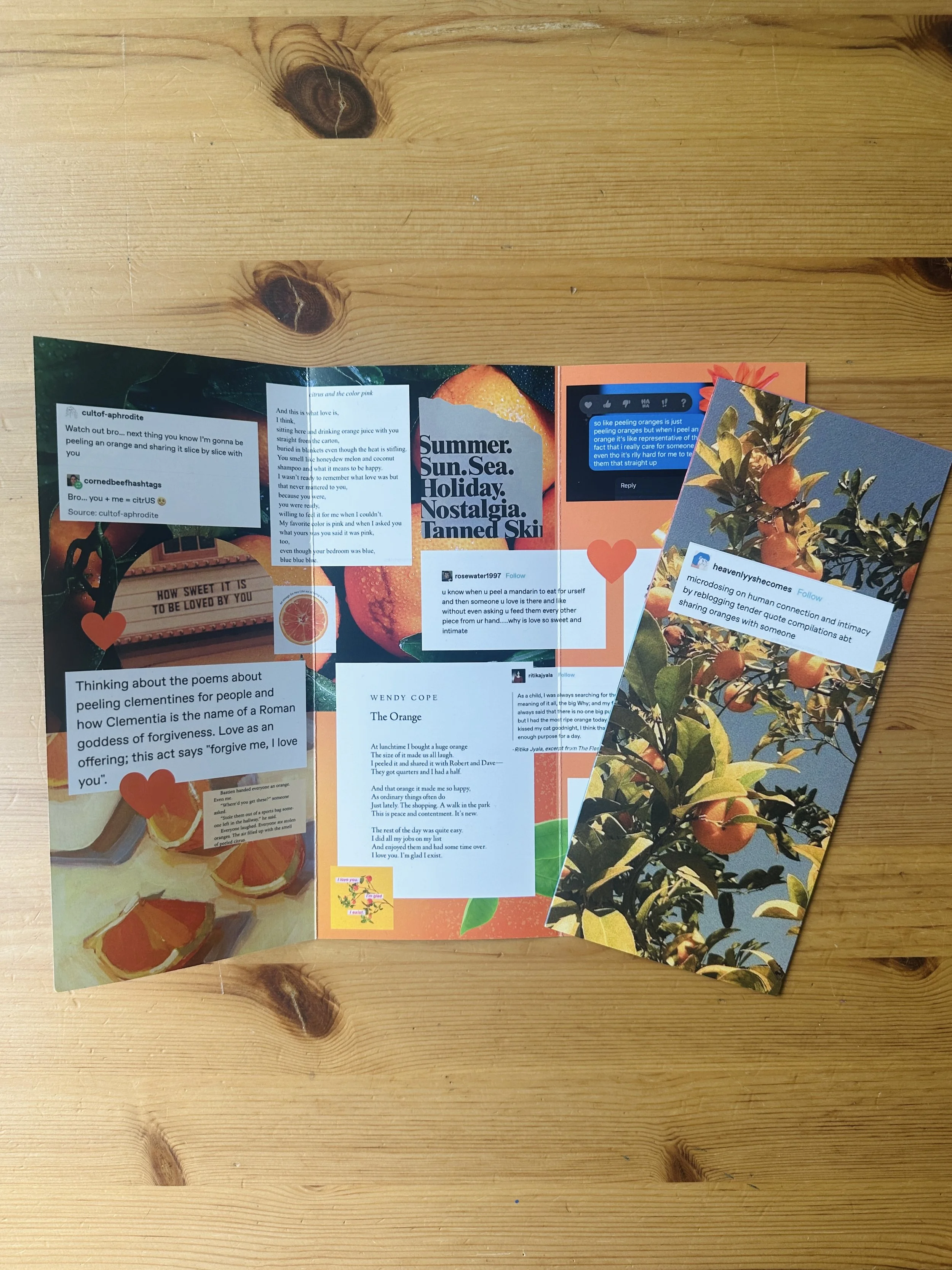 Orange Zine (Digital download)