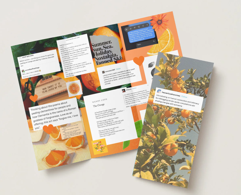 Orange Zine (Digital download)