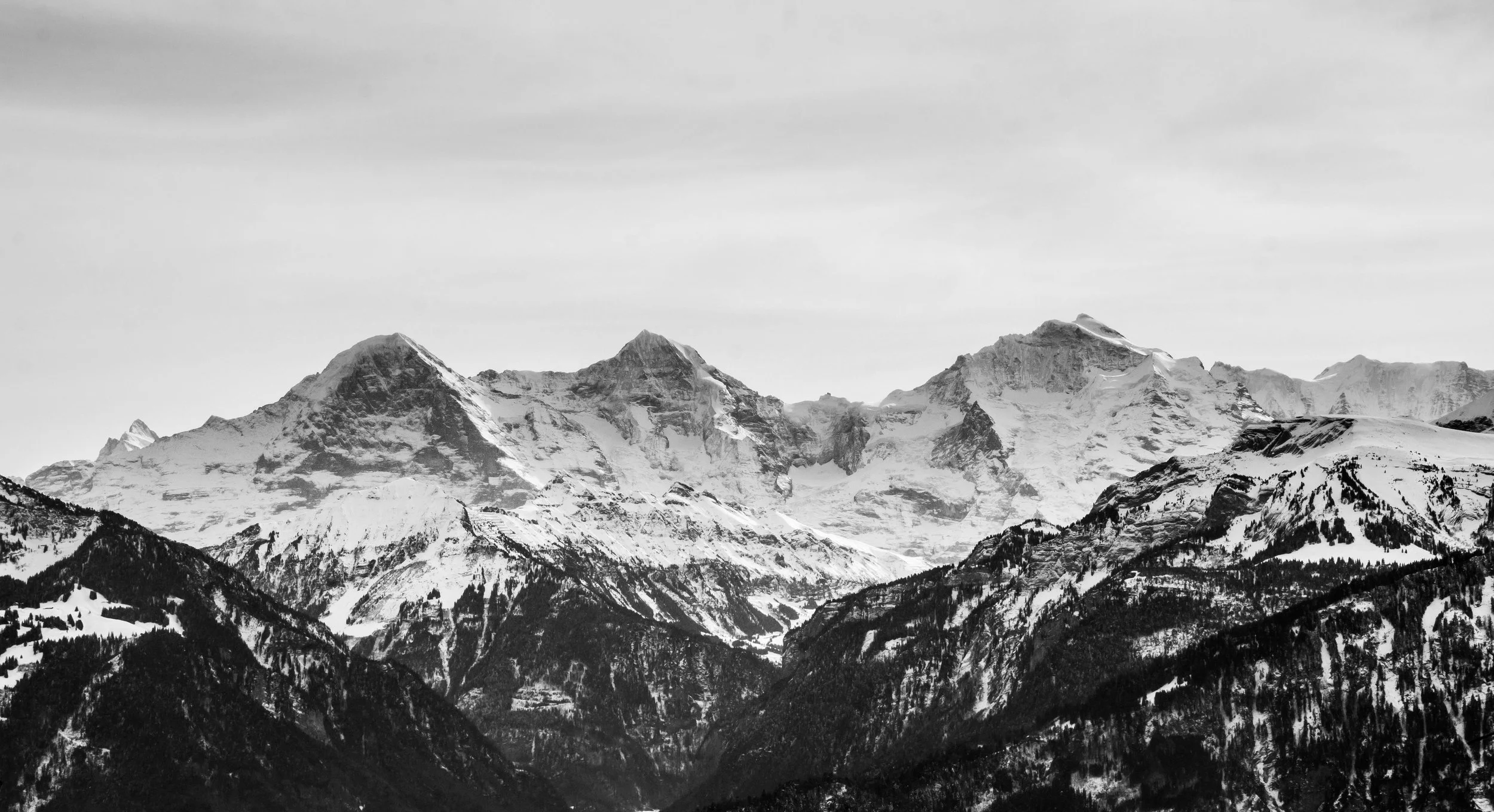 Black and white photo of snow-capped mountain peaks and forested slopes.