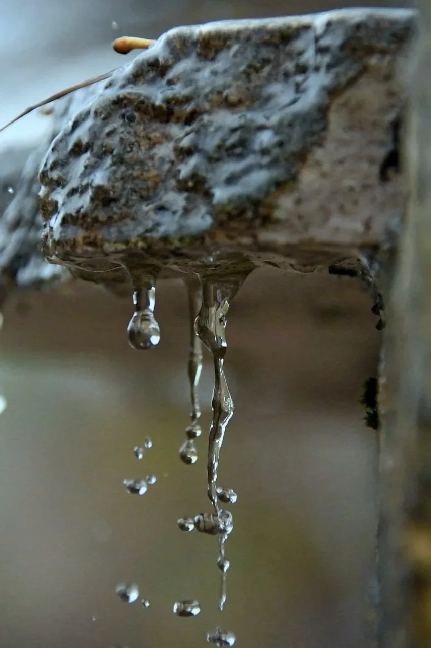 close up photograph of water running off of a rock