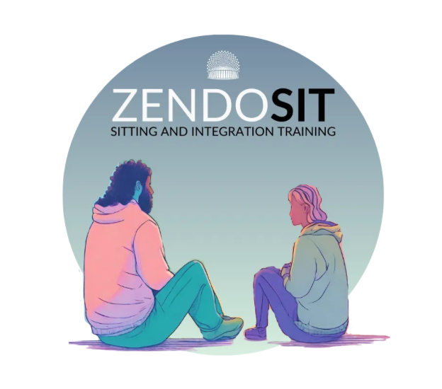 Psychedelic Harm Reduction: Lessons from the Zendo Project Sitting and Integration Training 