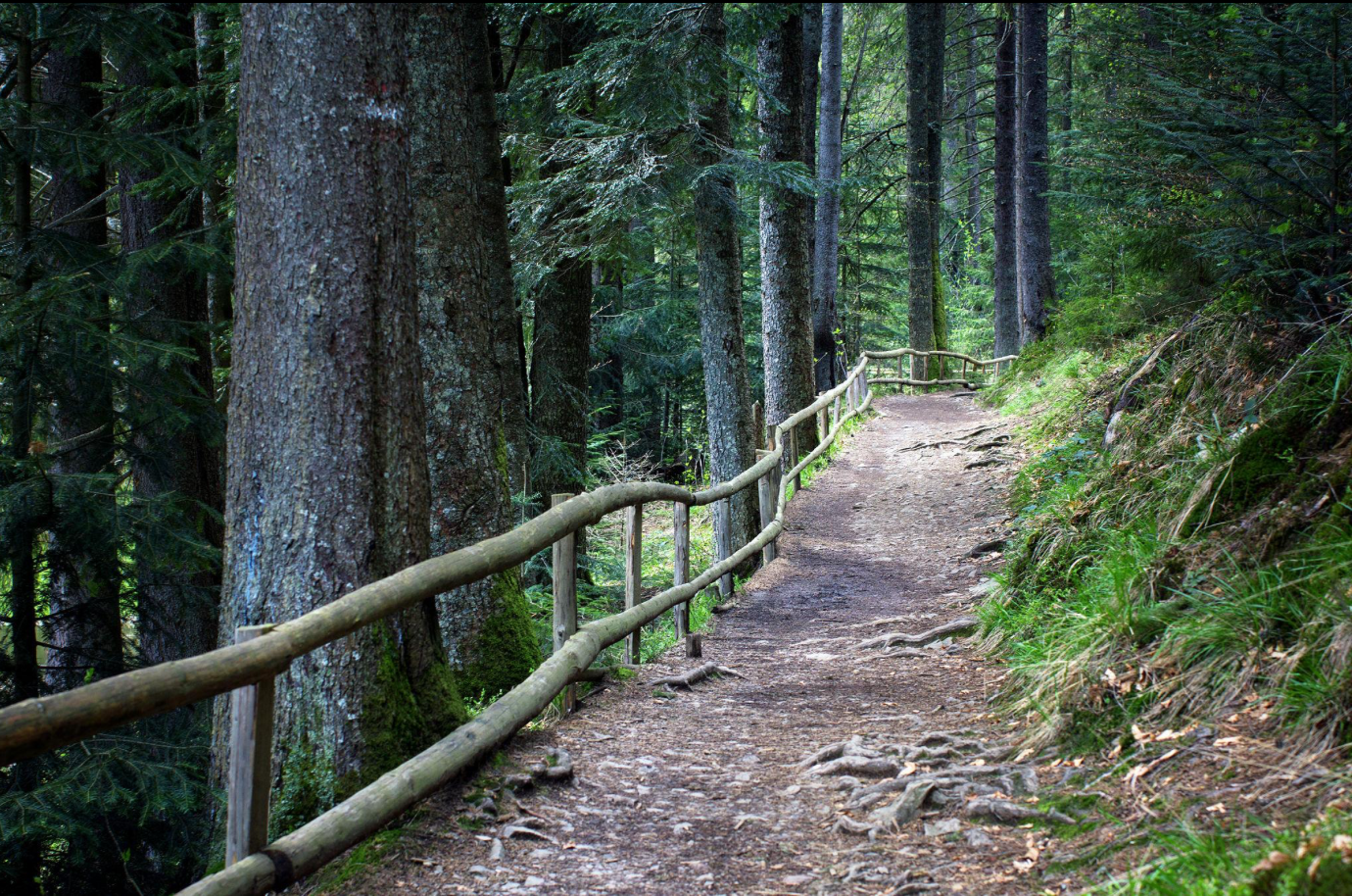 Colorado's New AI Therapy Law: Good Guardrails, Unrealistic Expectations
