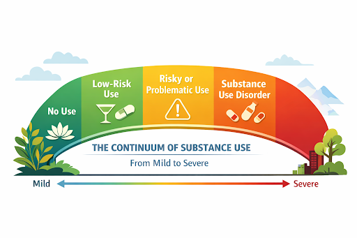 A color-coded gauge illustrating the continuum of substance use from mild to severe, including sections for No Use, Low-Risk Use, Risky or Problematic Use, and Substance Use Disorder, with a scale from mild to severe.