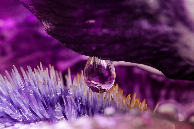macro photo of a water droplette