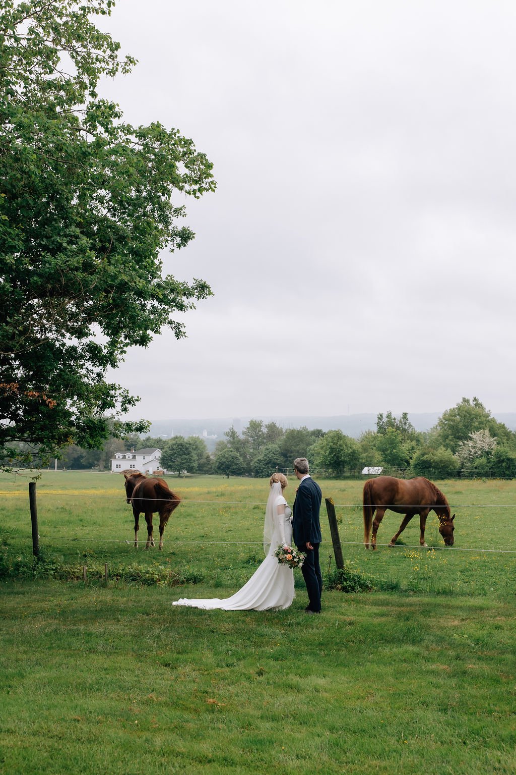 A bride and groom standing in a grassy field, facing each other, with two grazing horses and a tree to the left, under a cloudy sky.