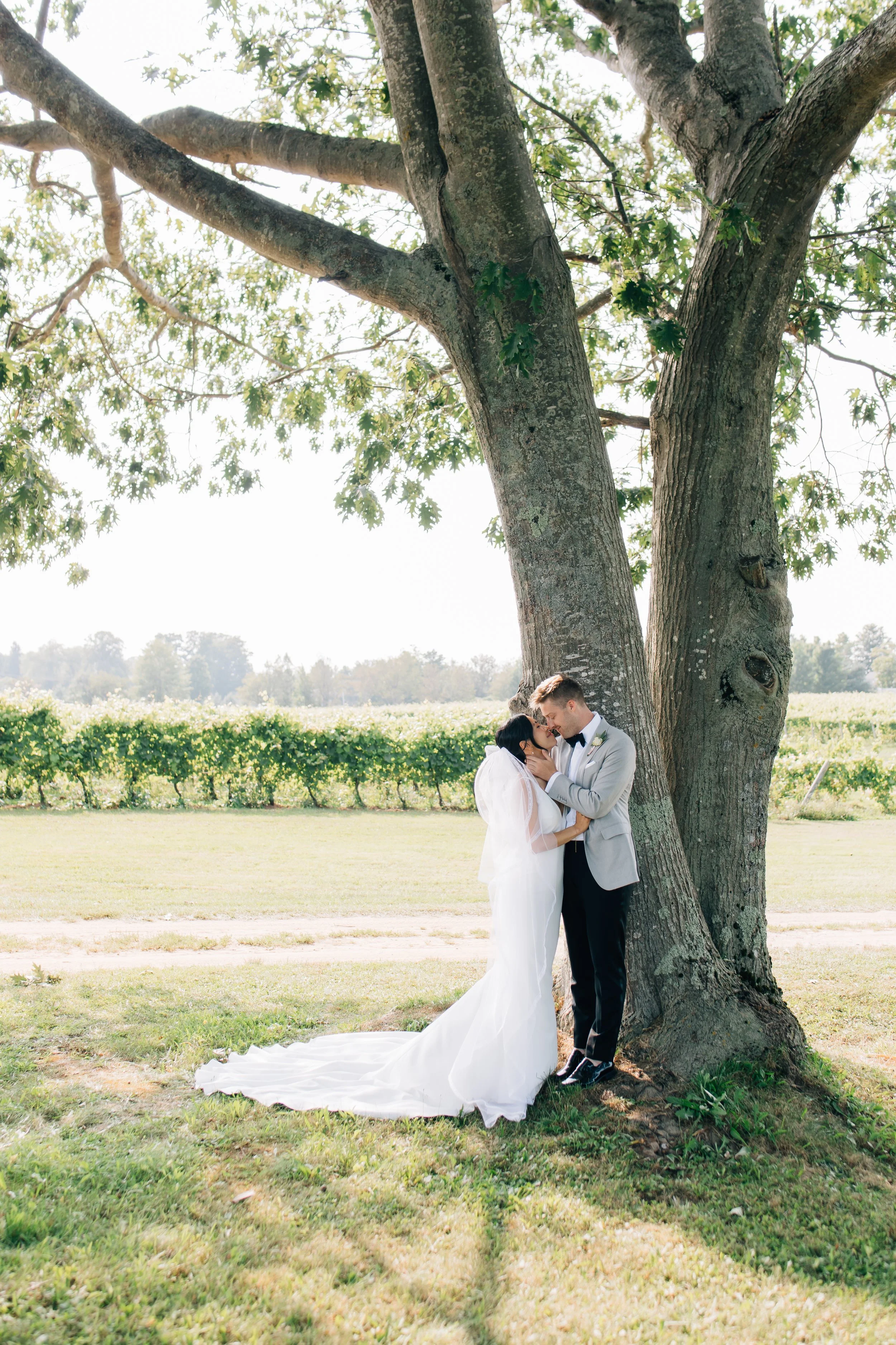 A newlywed couple sharing a kiss under a large tree in an open, grassy area on a bright day.