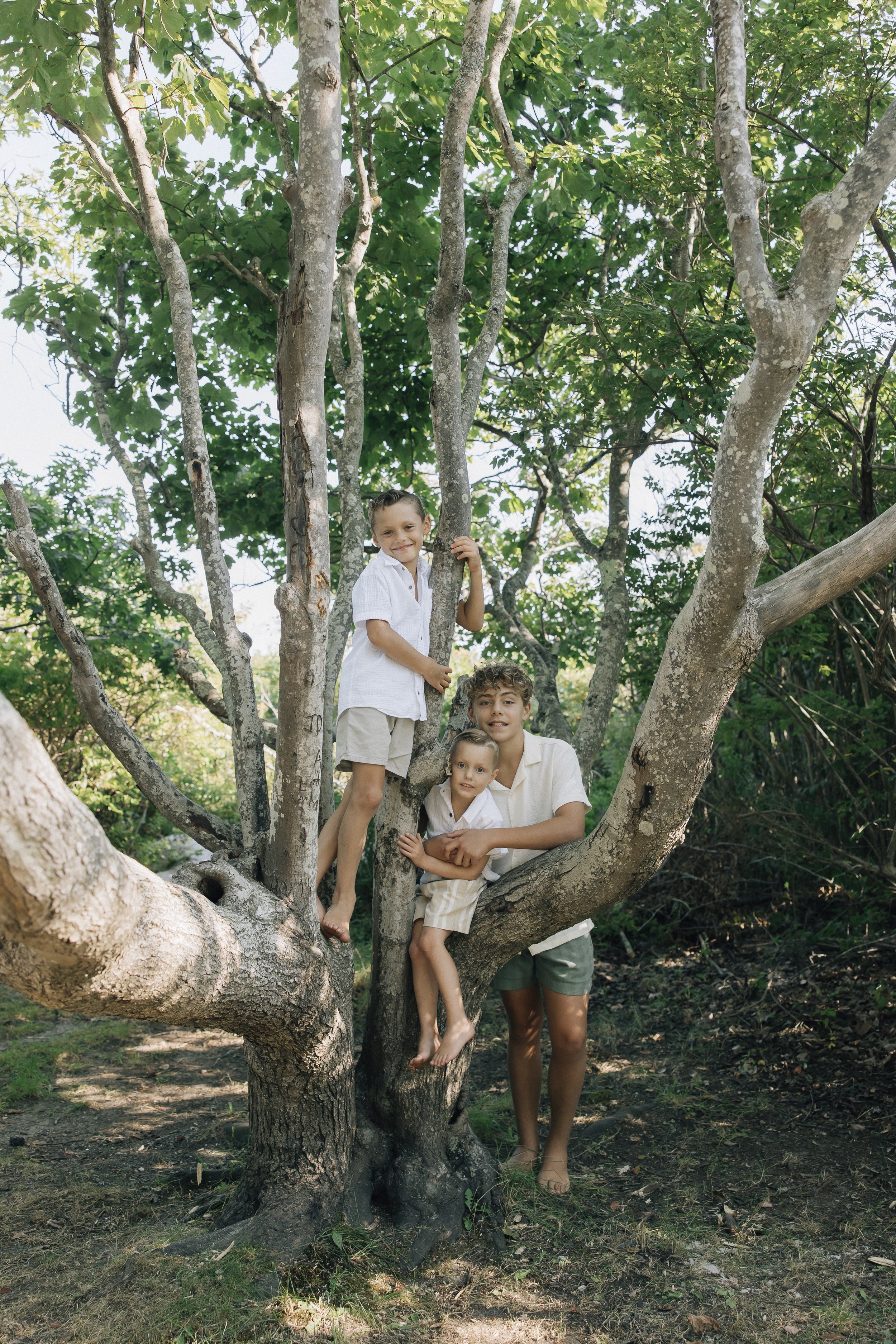 Four children and one adult in a tree with green leaves, outdoors during daytime. The children are sitting and standing on the branches, smiling and looking at the camera. The adult is standing on the ground beside the tree, supporting some of the ch