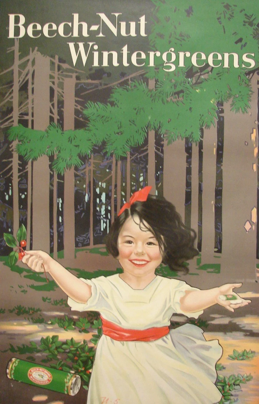 Color advertisement of a young girl in a forest running at the viewer. She carries a wintergreen leaf in her hand. She wears a white dress with a red sash, she has a red bow in her head. 
