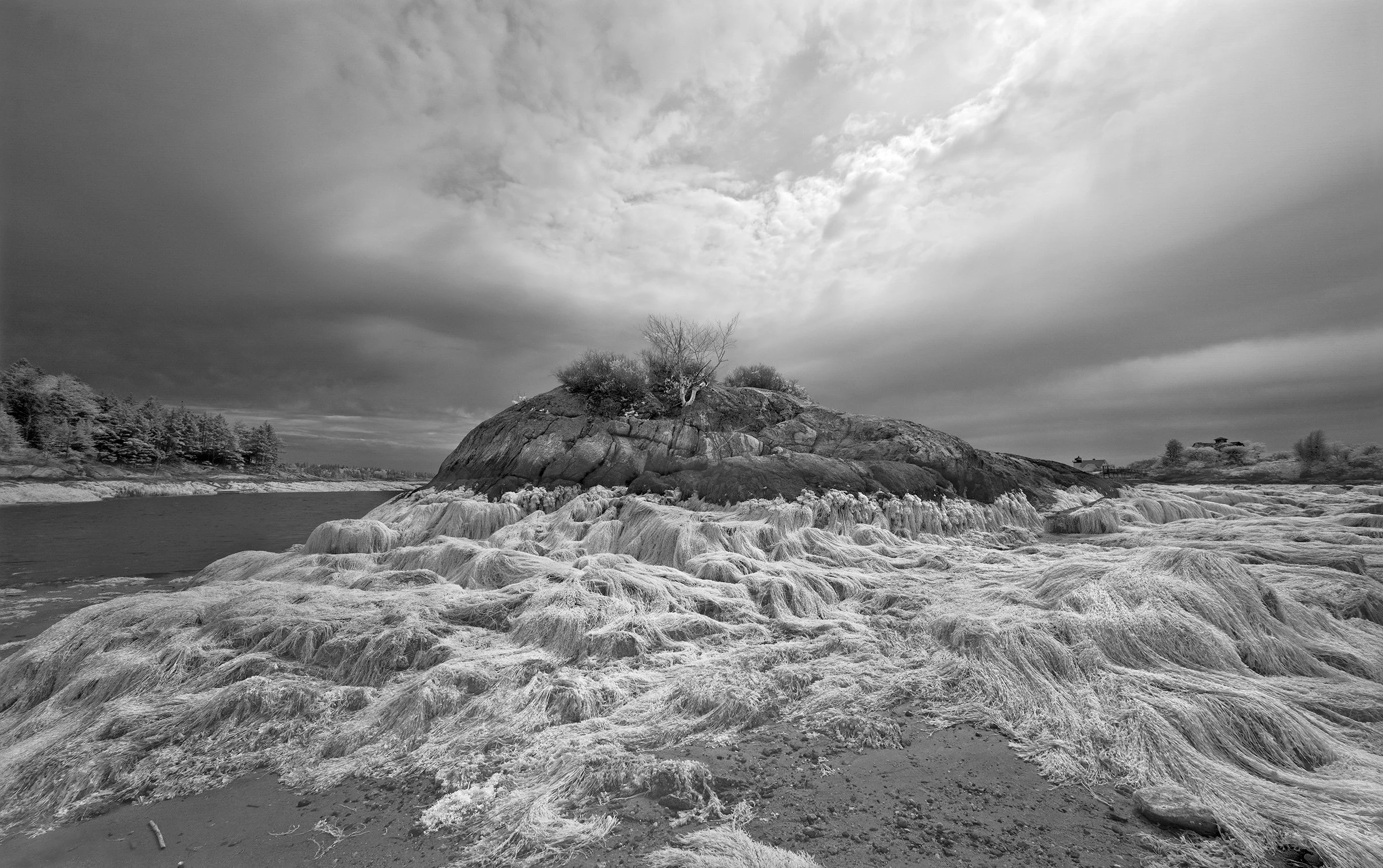 Low Tide III – Gary Larsen - $420
