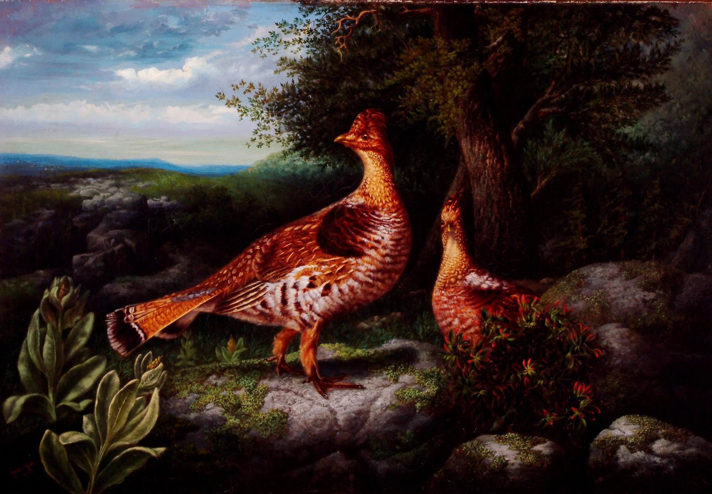 An oil painting of two grouse one looks at the viewer one looks to the side. 