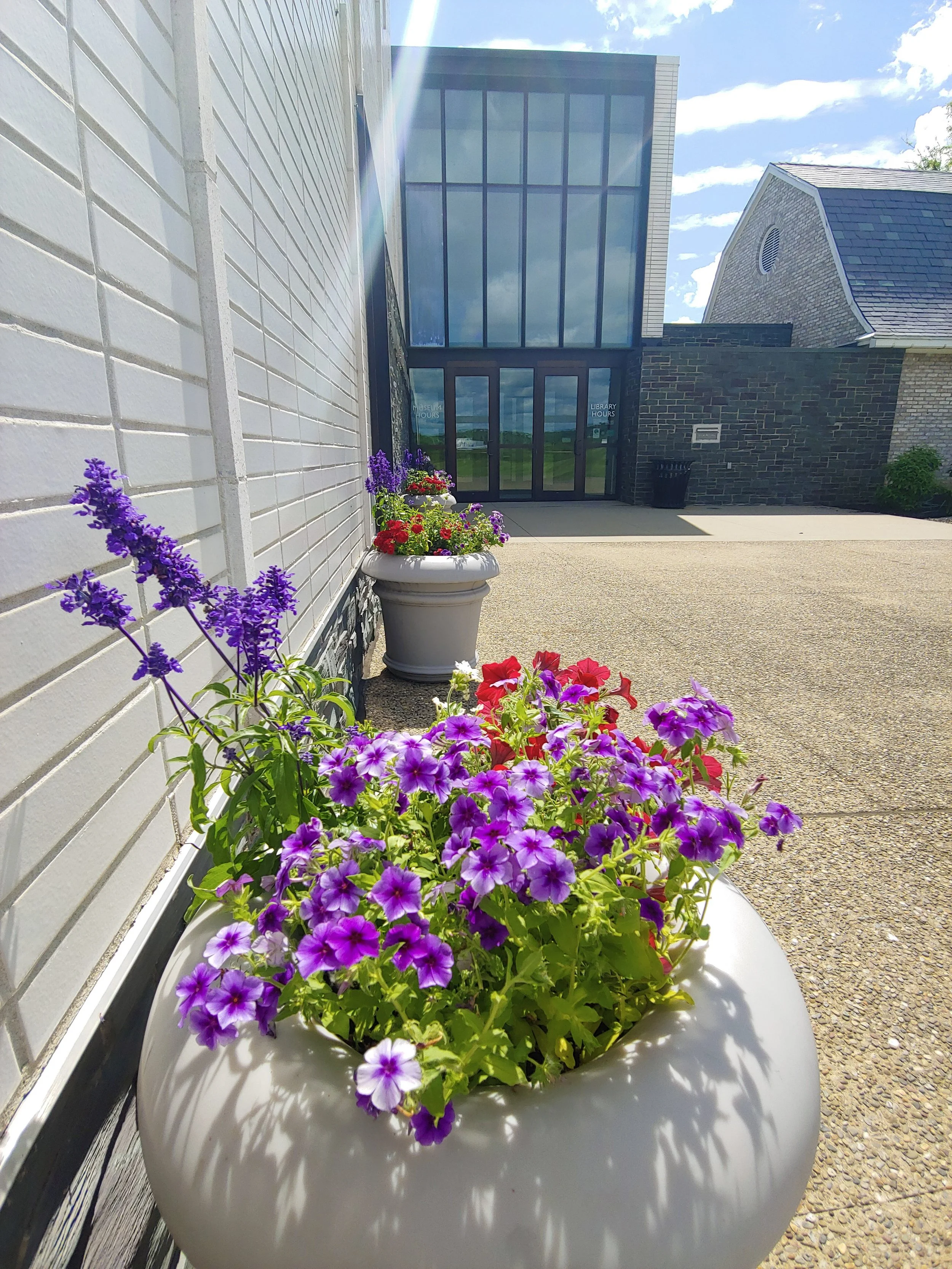 Photograph of a walkway leading to a door. There are three large pots with purple and red flowers in them.