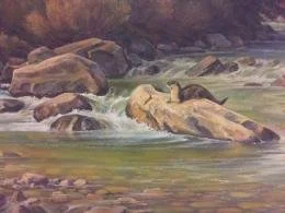 oil painting of an otter on a rock in the river. 