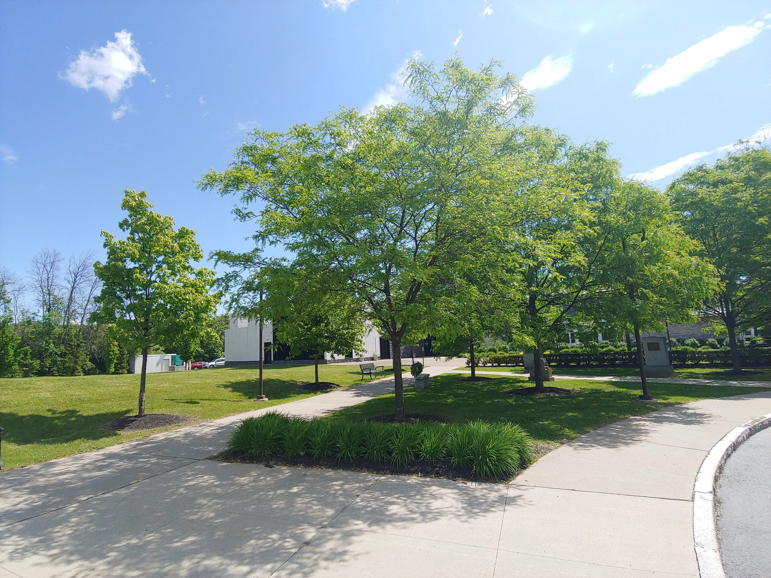 This is a photograph of the main entrance of the Arkell Museum and Canajoharie Library. There are lush trees and shrubs lining the sidewalk leading to the front door..
