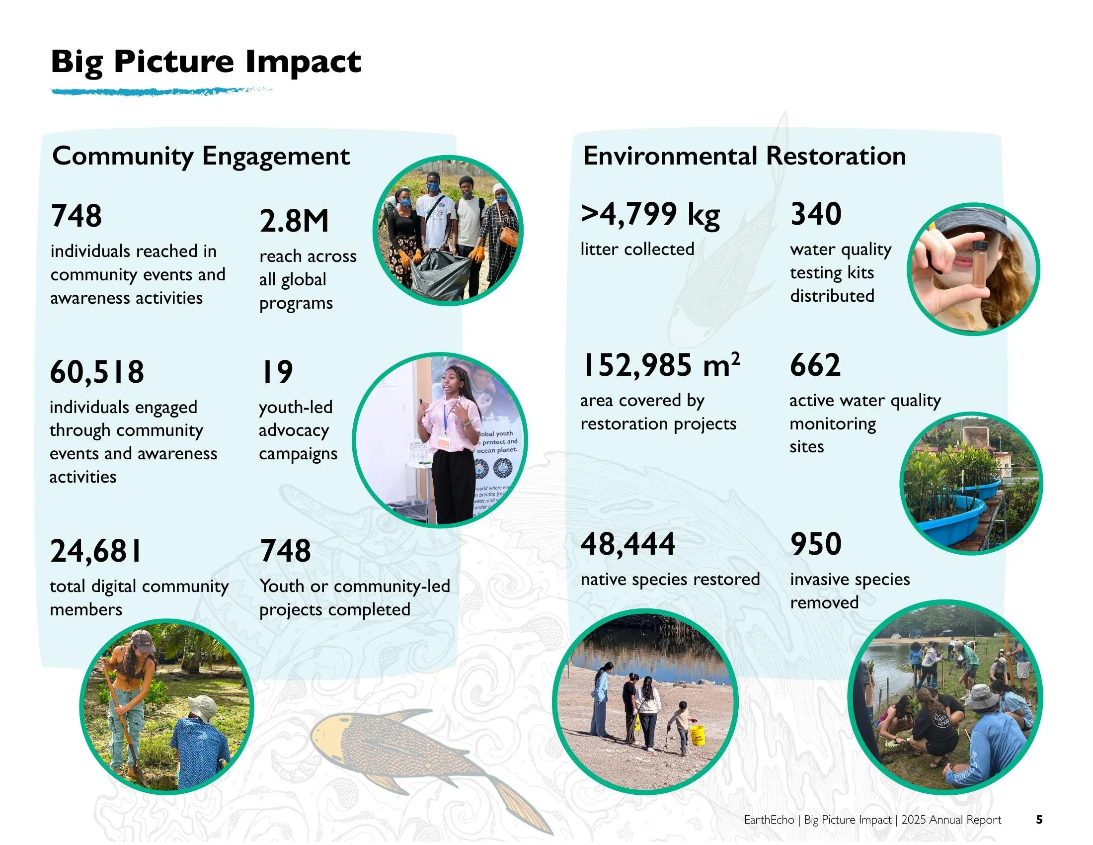 Big Picture Impact