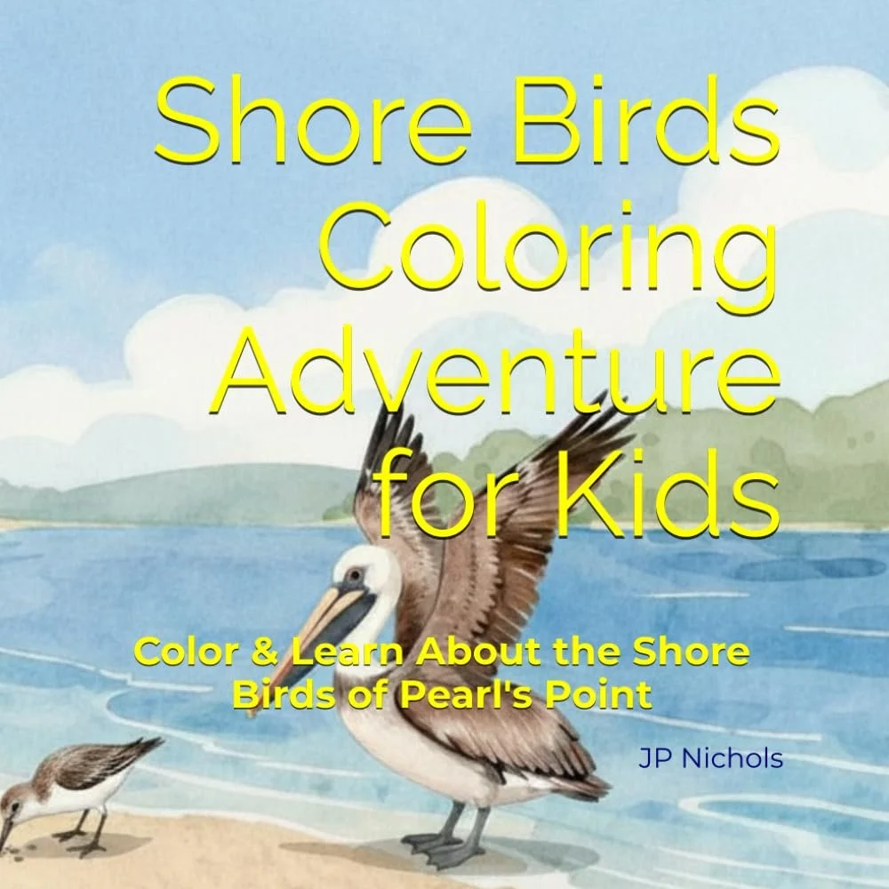 Shore Birds - Coloring Adventure for Kids