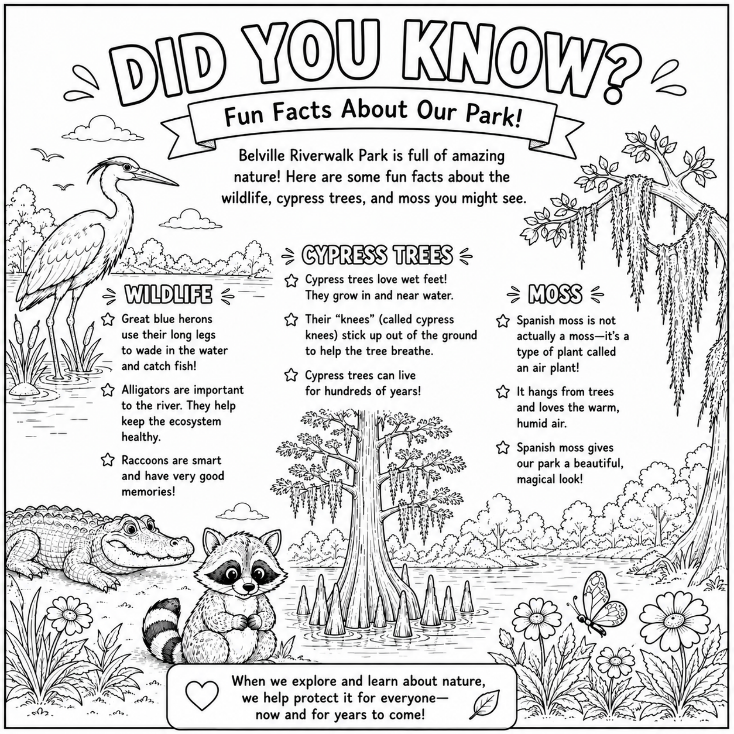 6 - Did You Know page.png