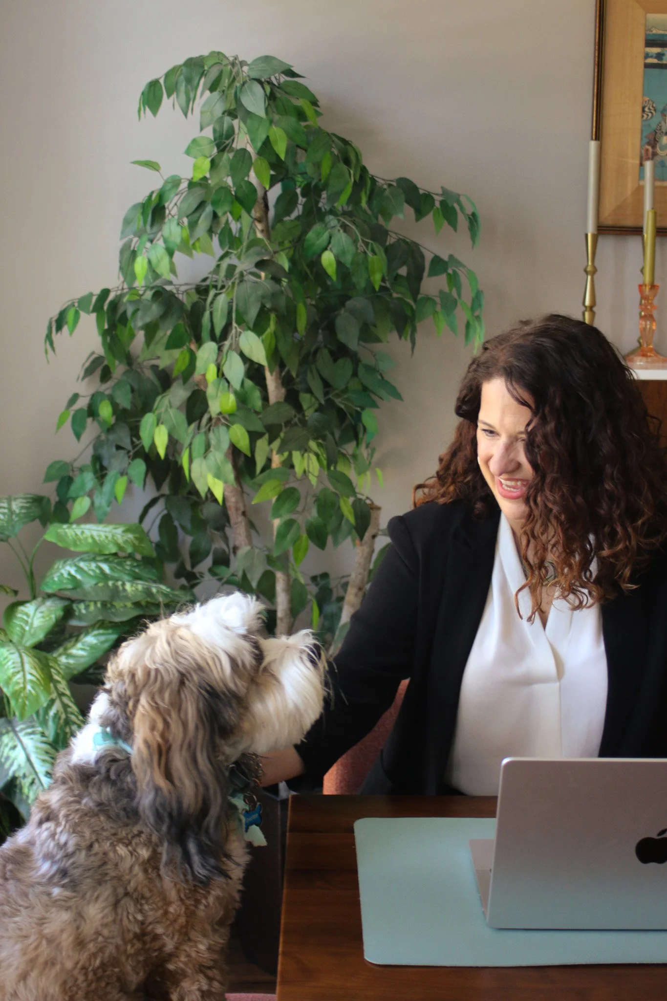 A woman with curly brown hair smiling at a dog sitting on a person's lap in an office setting. There are green plants, candles, and framed art on the wall behind her. A laptop and a tablet are on the desk.
