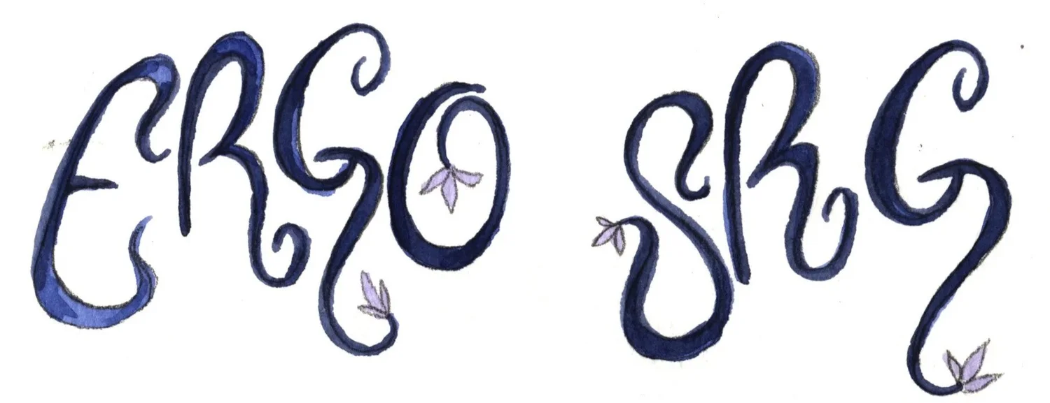 Ergo SRG Illustration