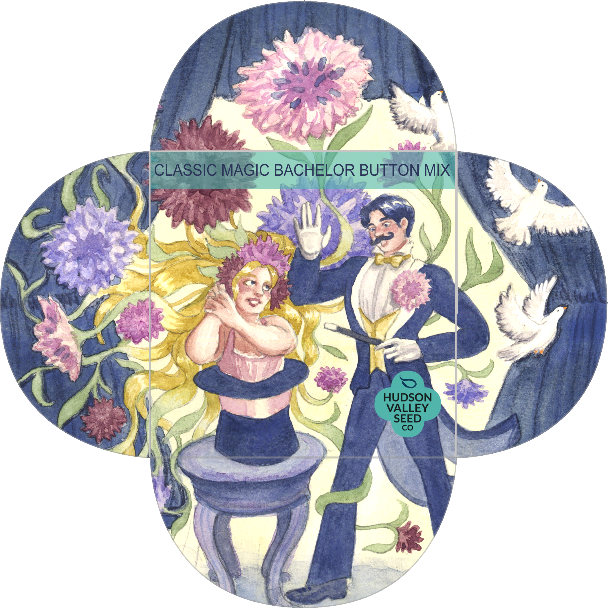 Classic Magic Bachelor Buttons: mock seed package design for Hudson Valley Seed Company (unofficial design not associated with Hudson Valley Seed Company) (2026) - Watercolor