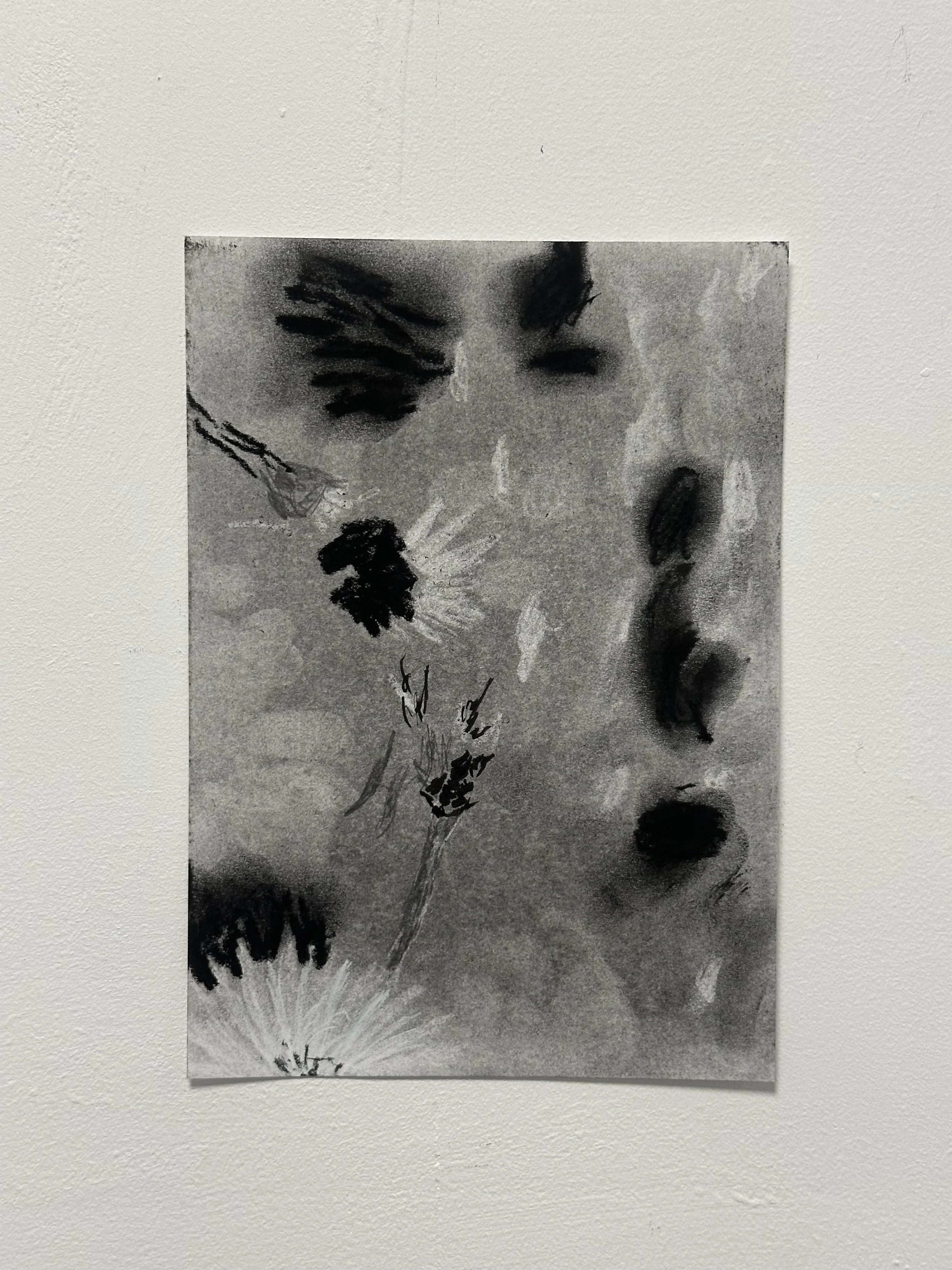148 x 210 mm