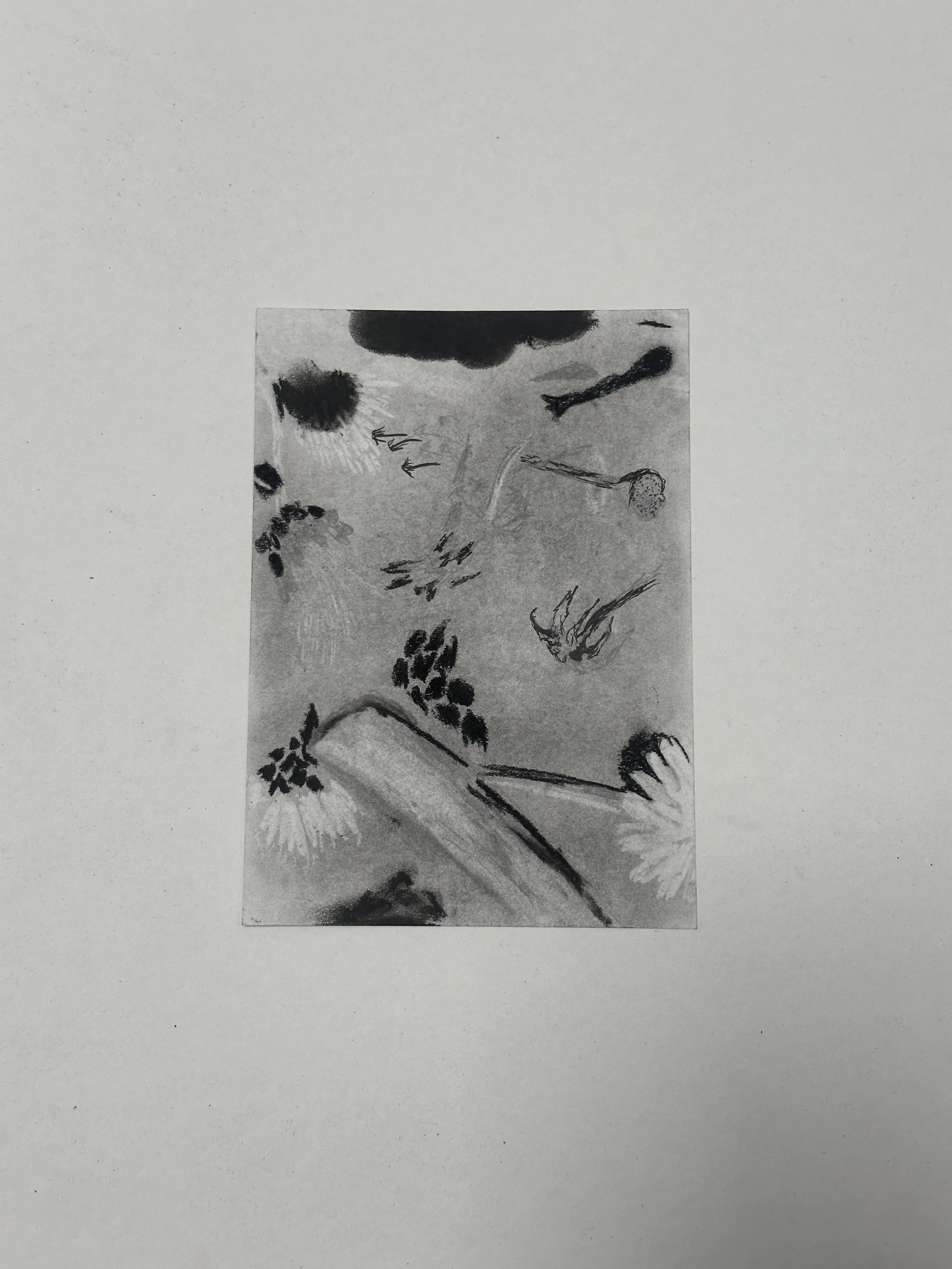 148 x 210 mm