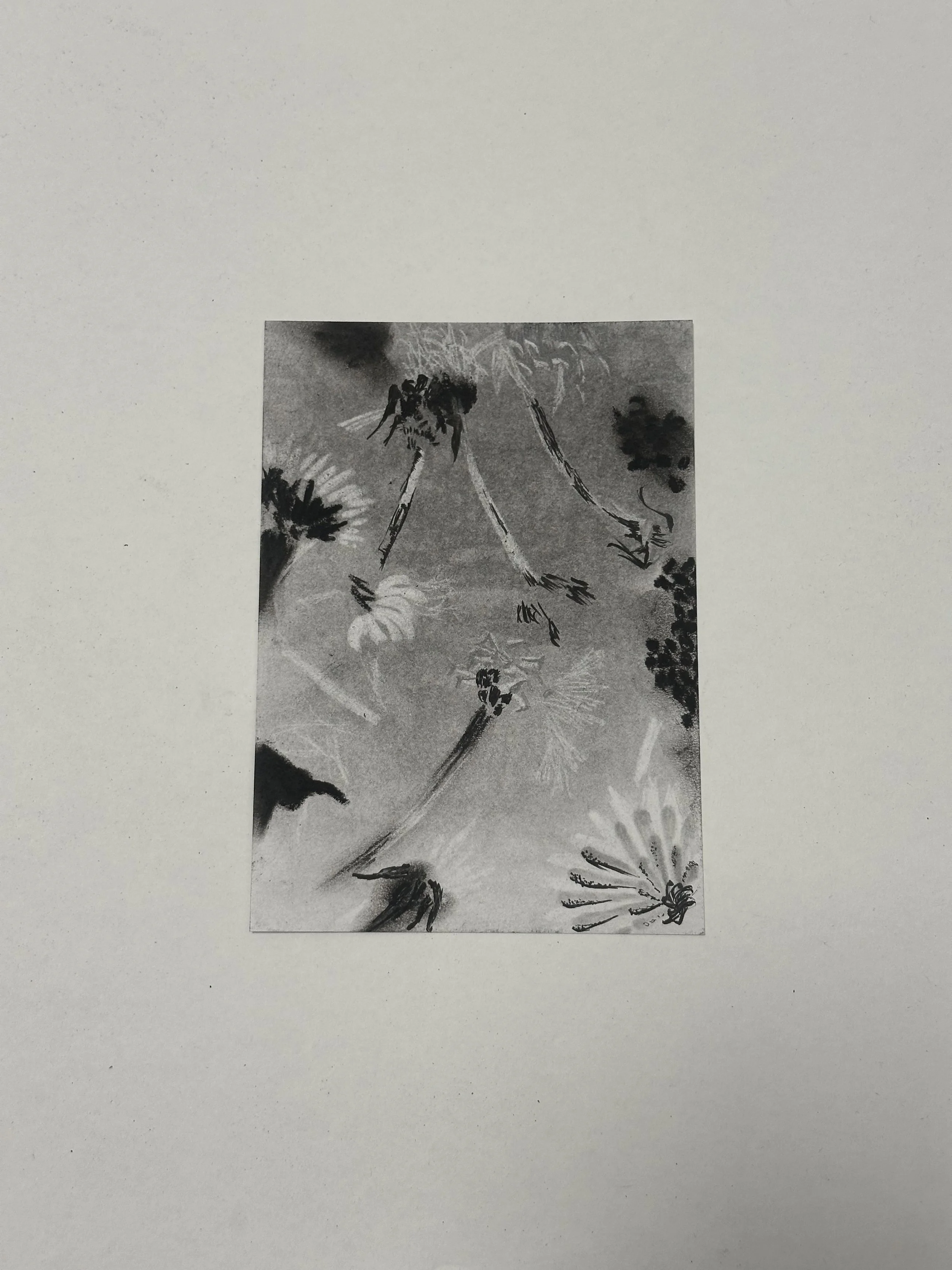 148 x 210 mm