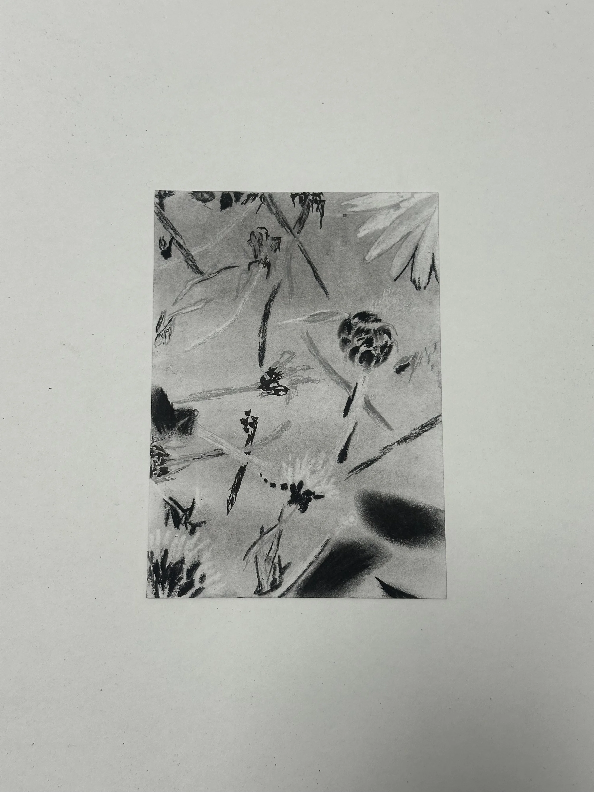 148 x 210 mm