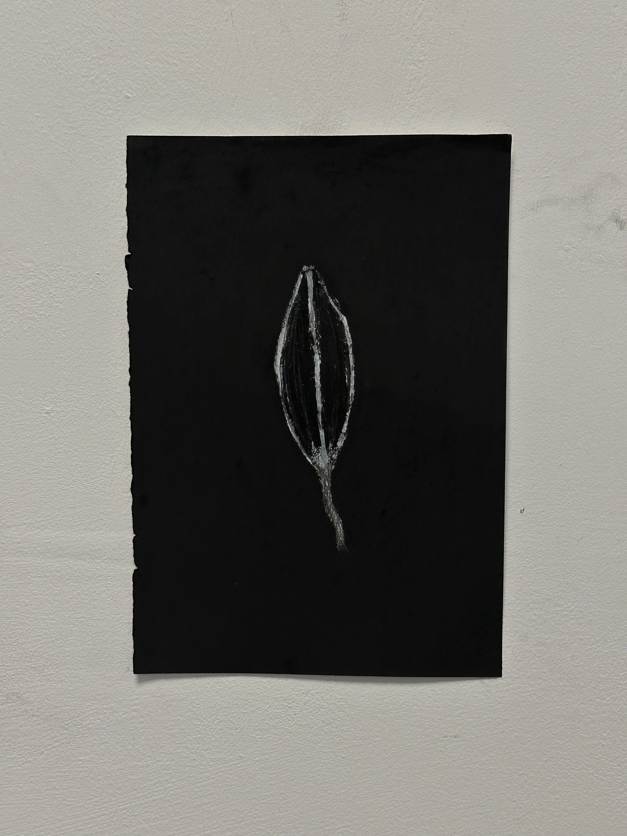 148 x 210 mm