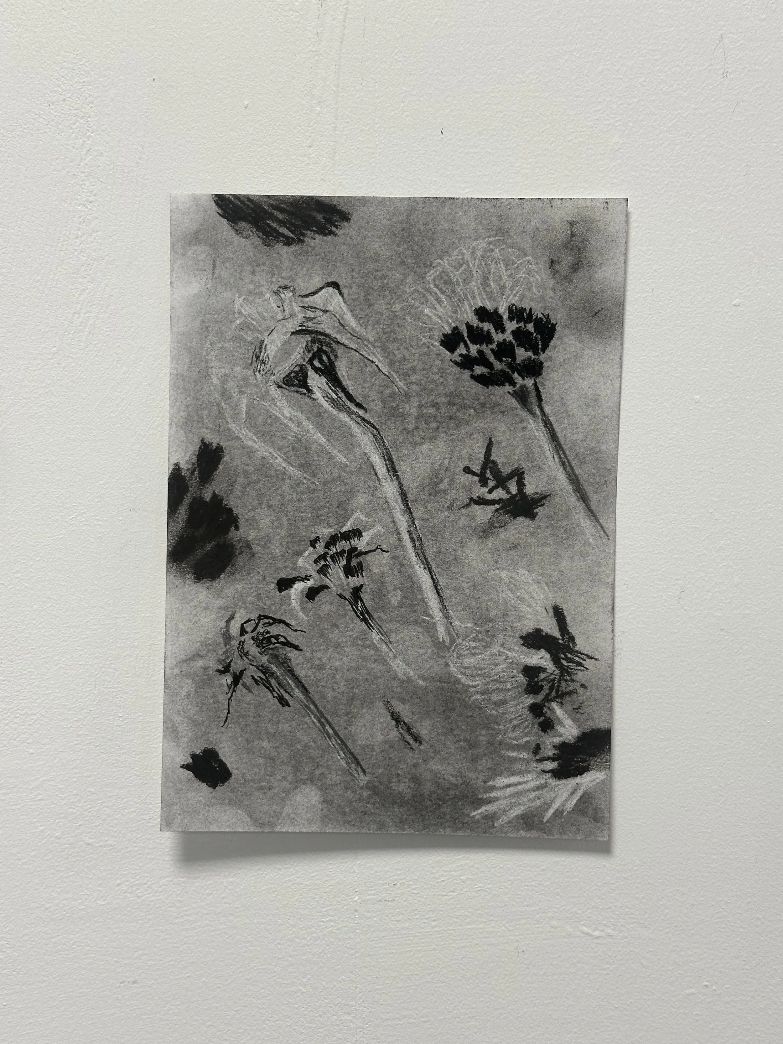 148 x 210 mm