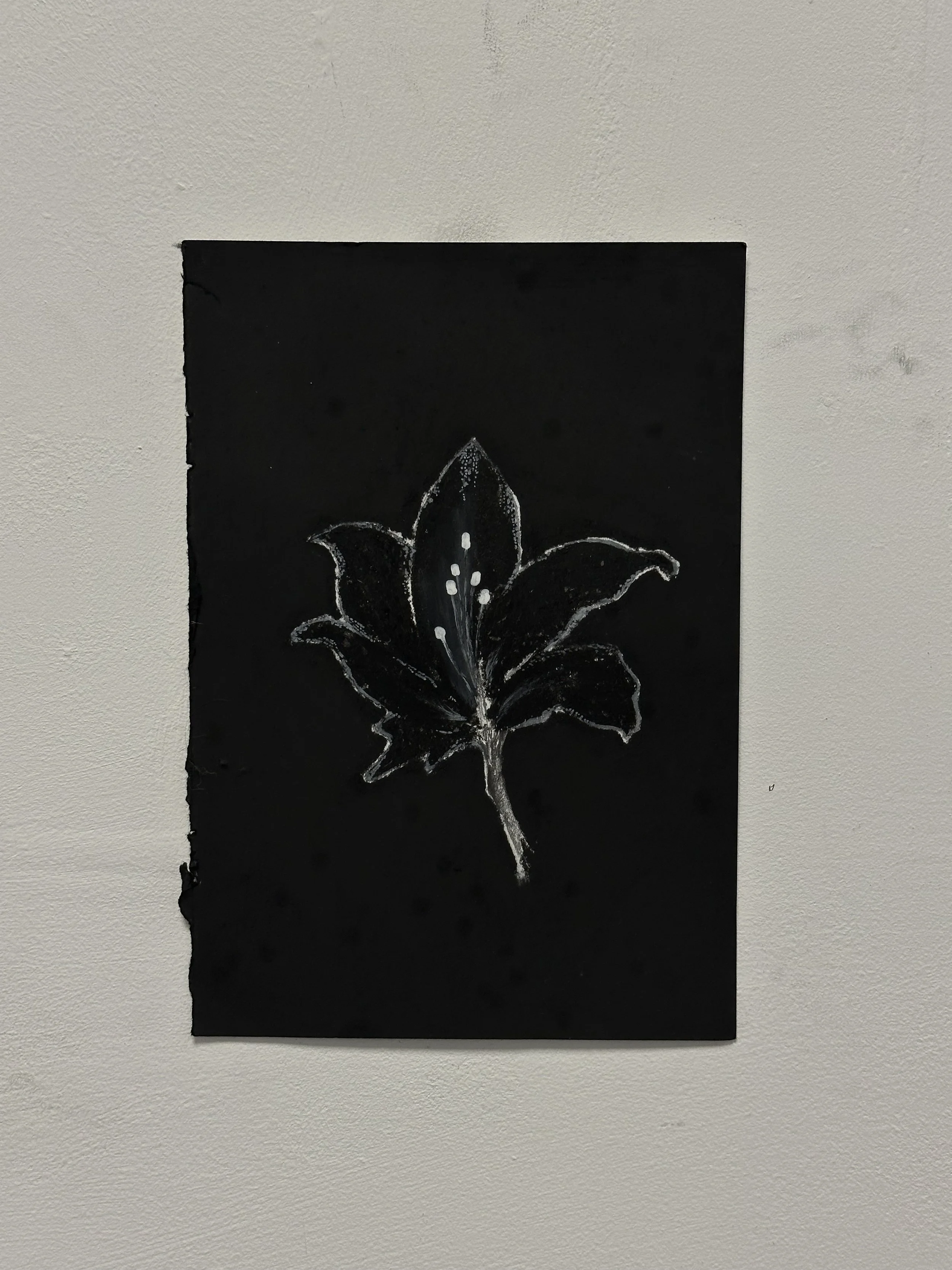 148 x 210 mm