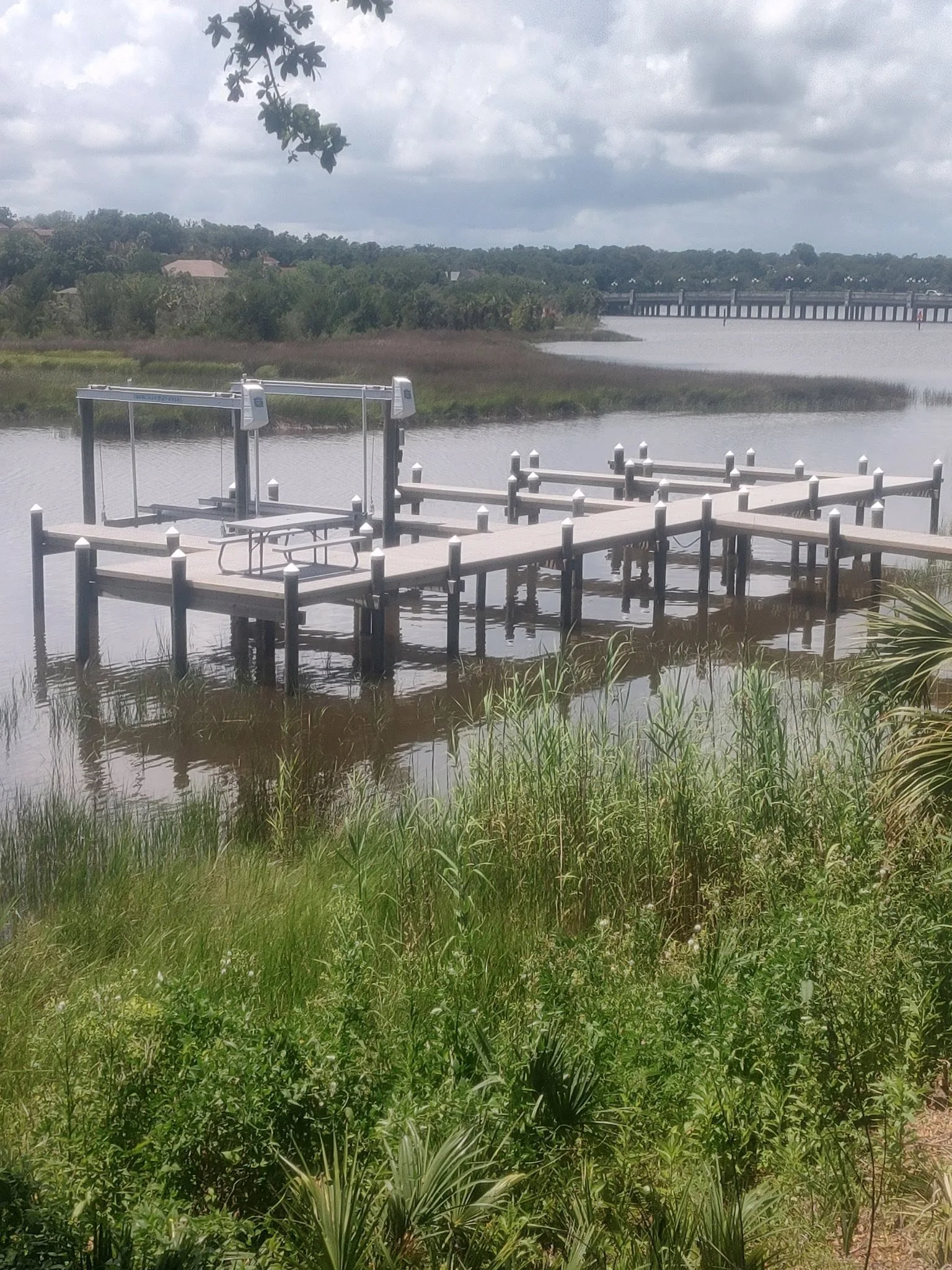 bayou1.jpg