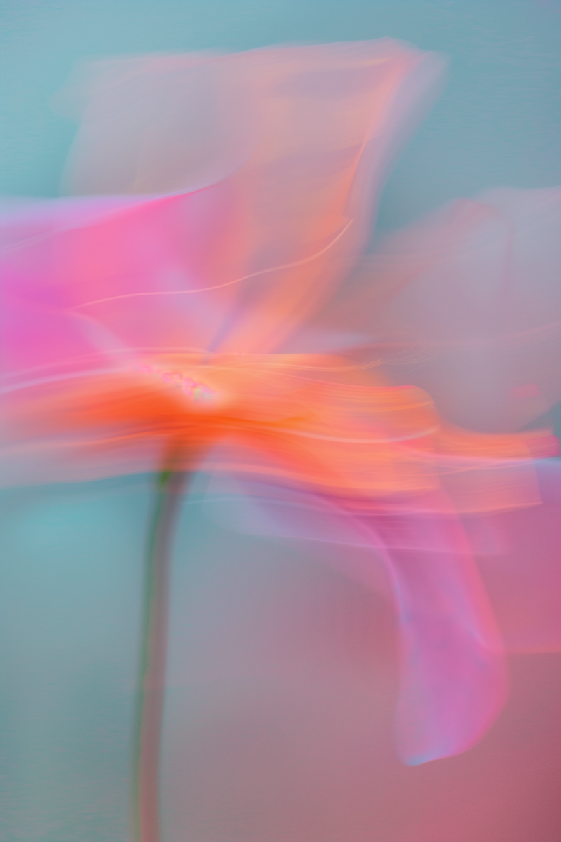 Soft abstract flower in pink and orange tones with flowing light, used beside a testimonial about finding a daily sanctuary for rest.